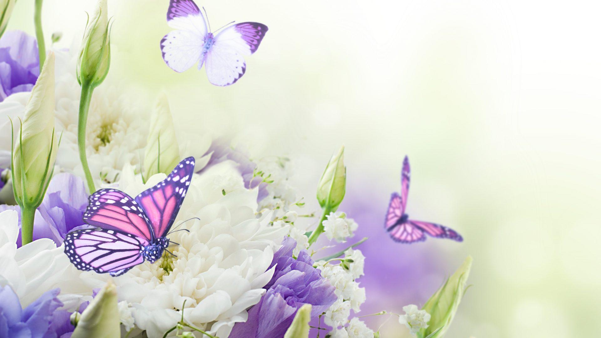 Lavender And Butterflies Wallpapers Wallpaper Cave
