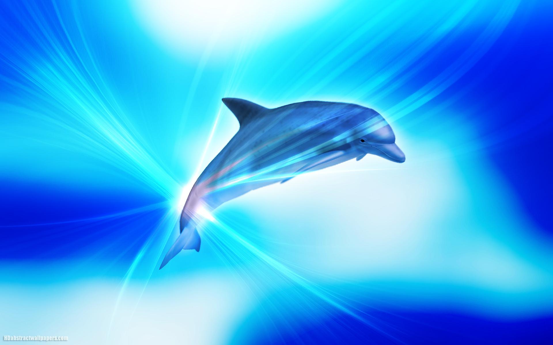 Dolphins Wallpapers Wallpaper Cave