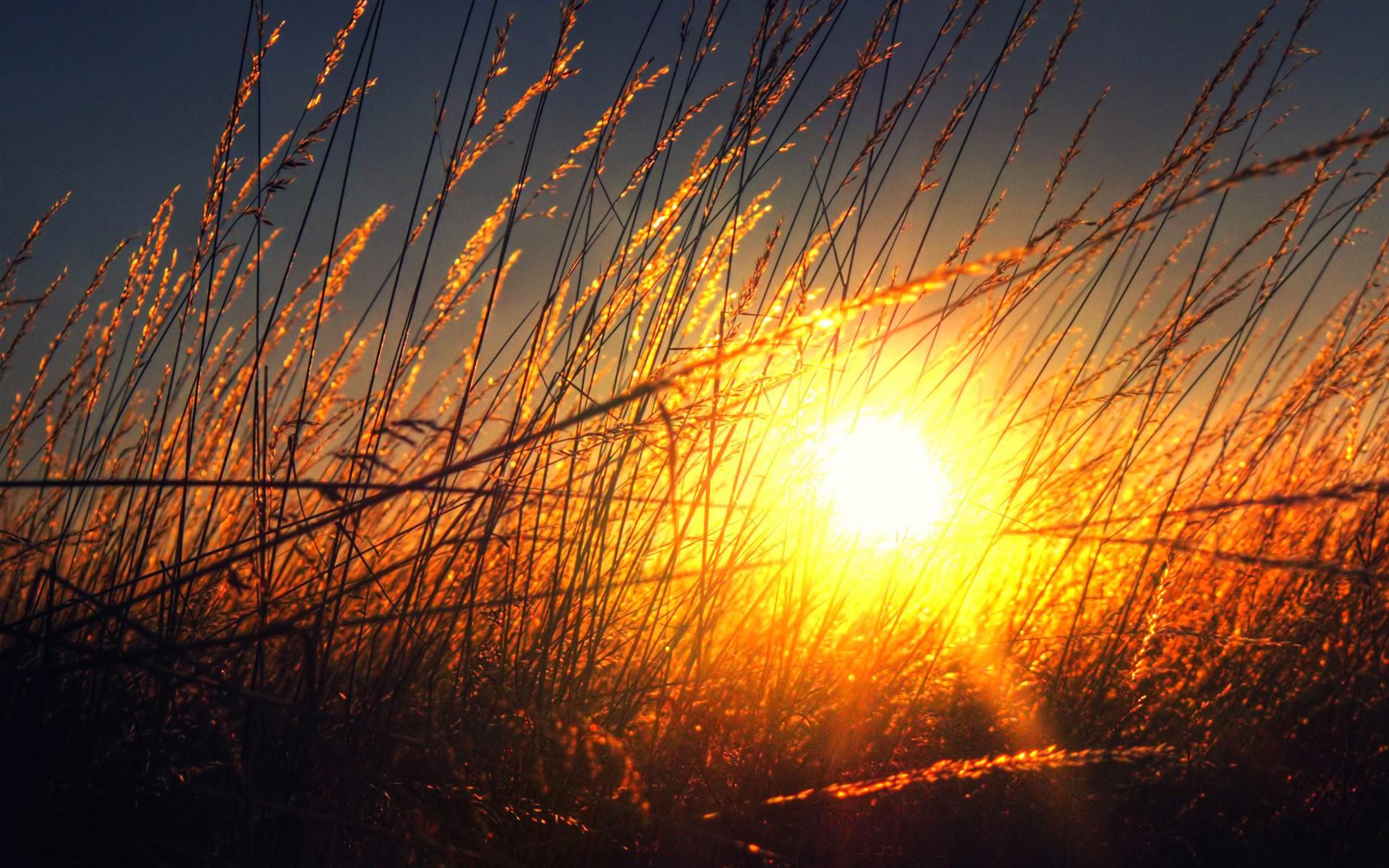 The Golden Hour Wallpapers Wallpaper Cave