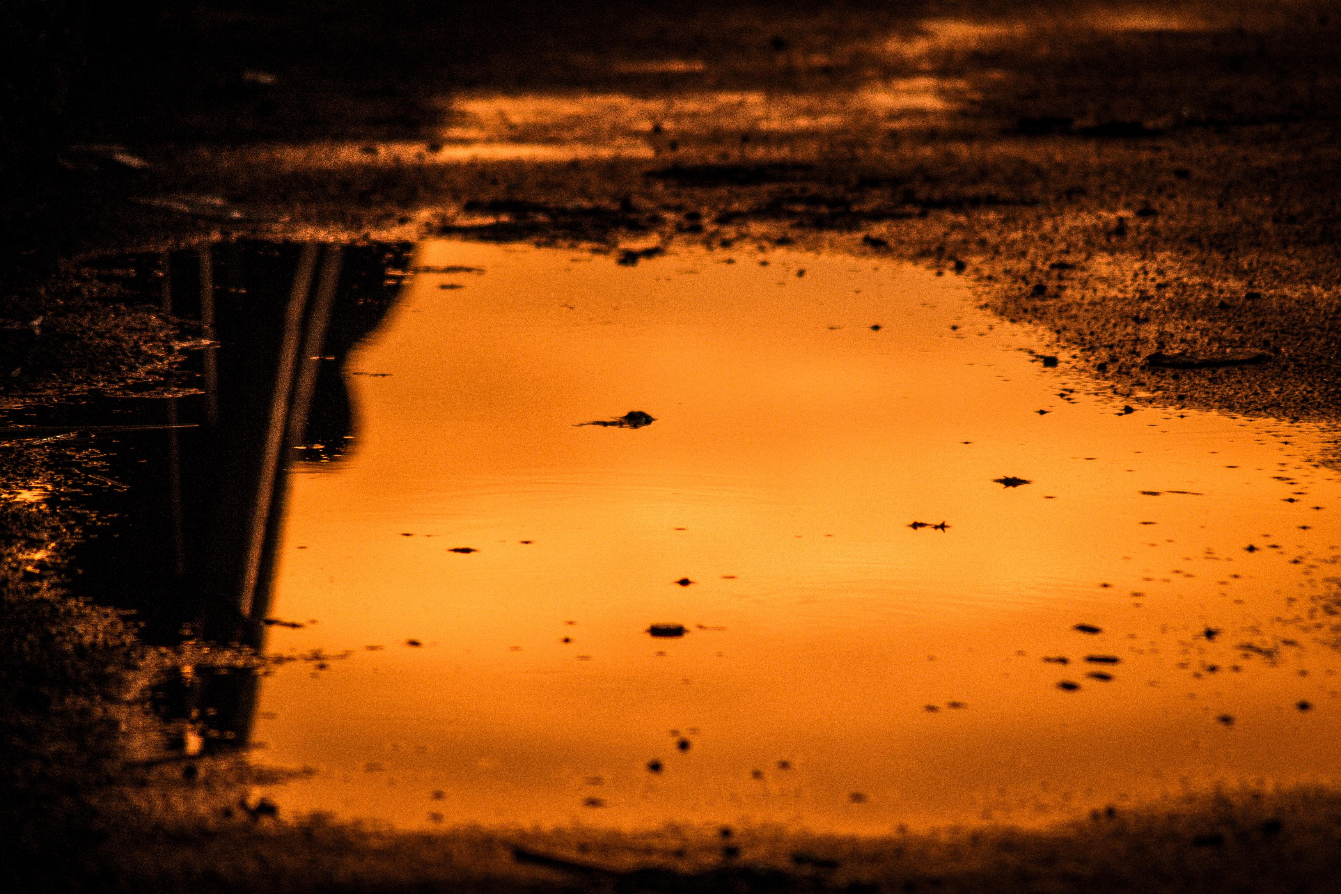 The Golden Hour Wallpapers Wallpaper Cave