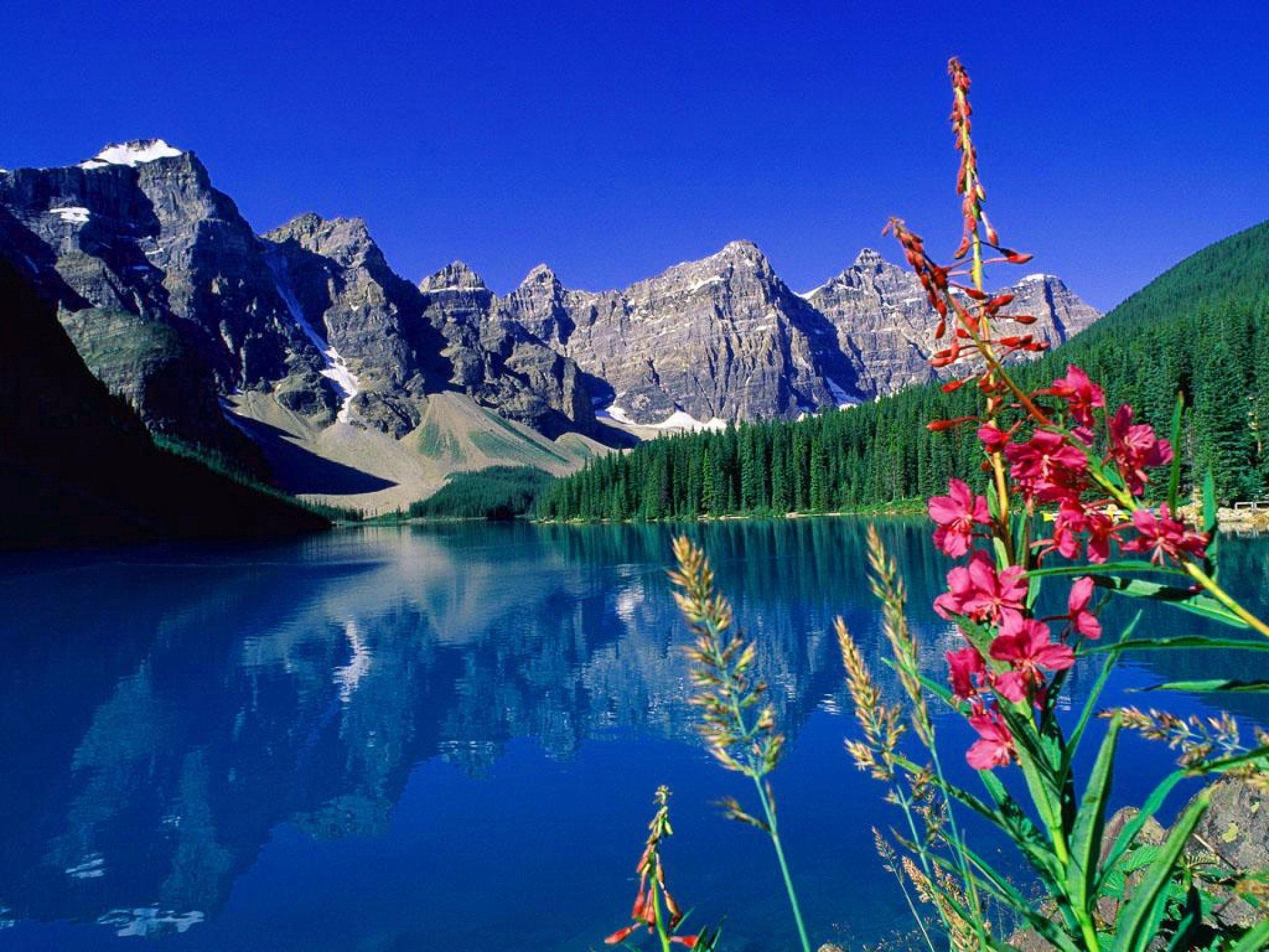 Landscape With Mountain, Lake And Flowers Wallpapers Wallpaper Cave