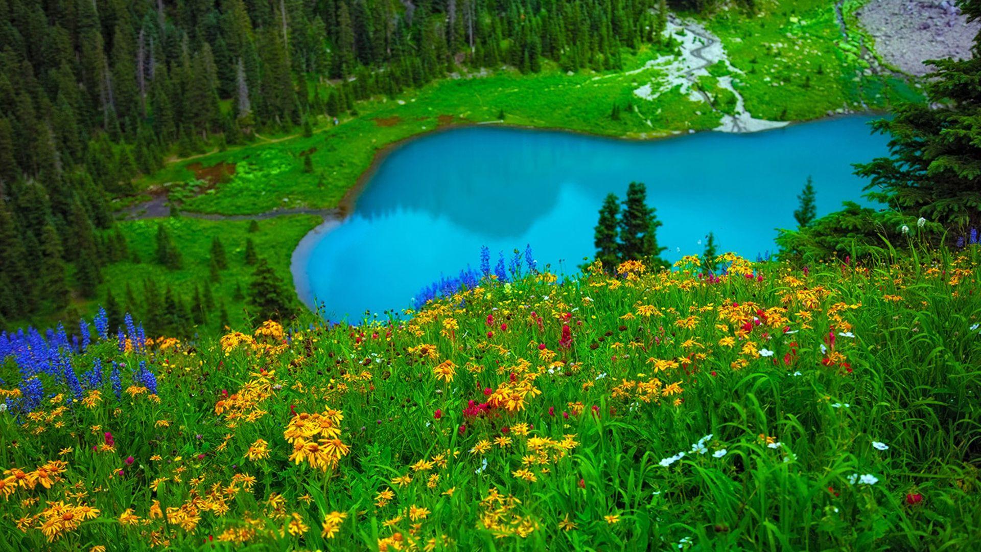 Landscape With Mountain, Lake And Flowers Wallpapers Wallpaper Cave