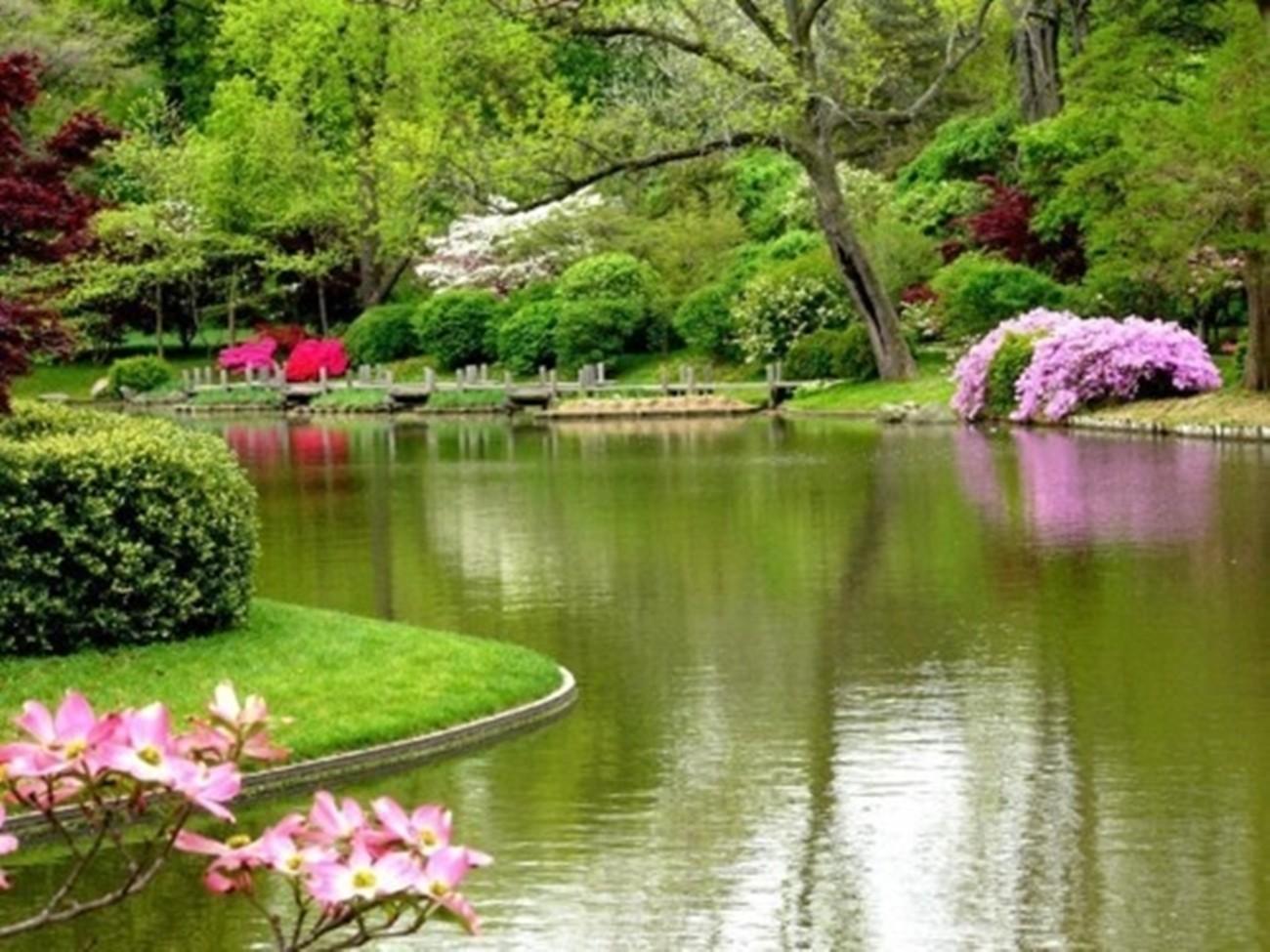 Landscape With Mountain, Lake And Flowers Wallpapers Wallpaper Cave