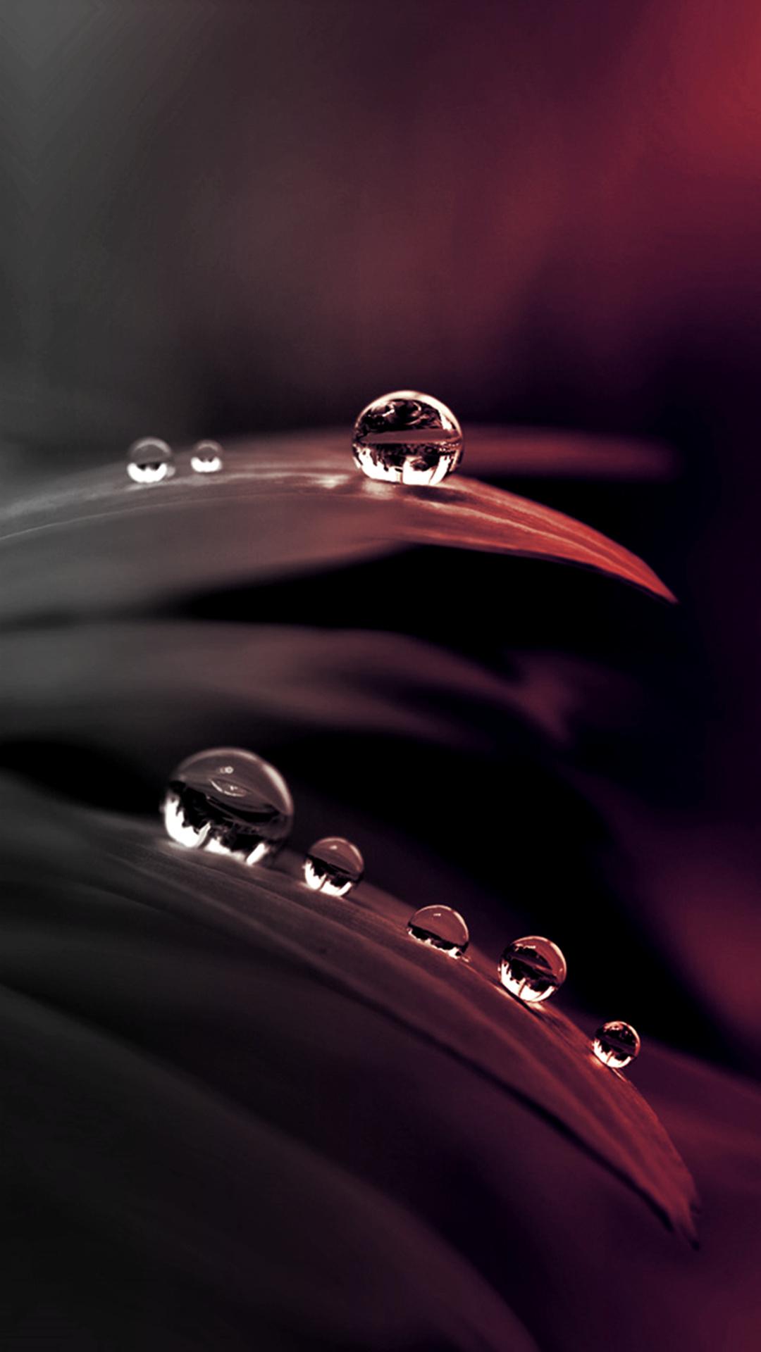Raindrops HD Wallpapers Wallpaper Cave