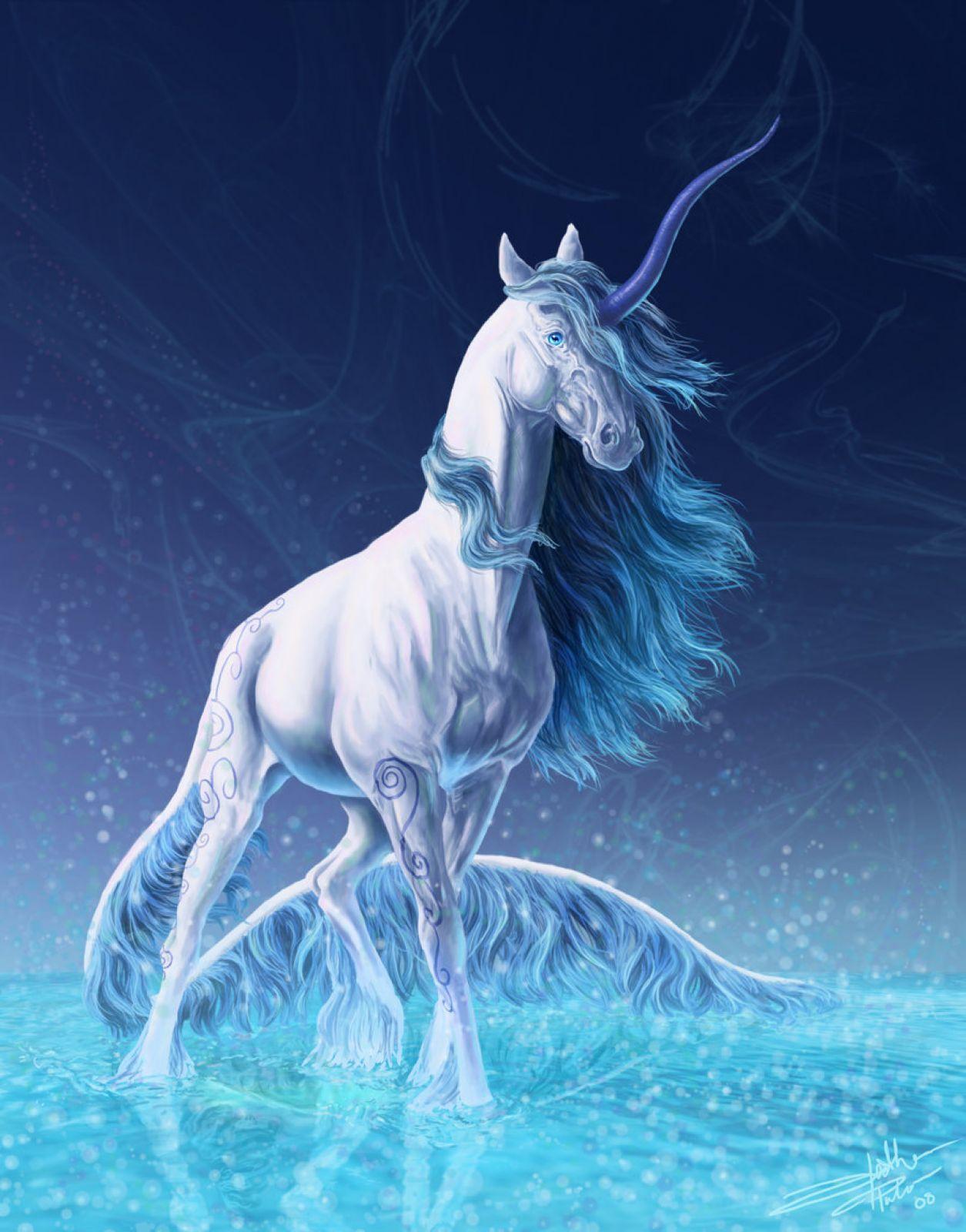Real Unicorns Wallpapers Wallpaper Cave