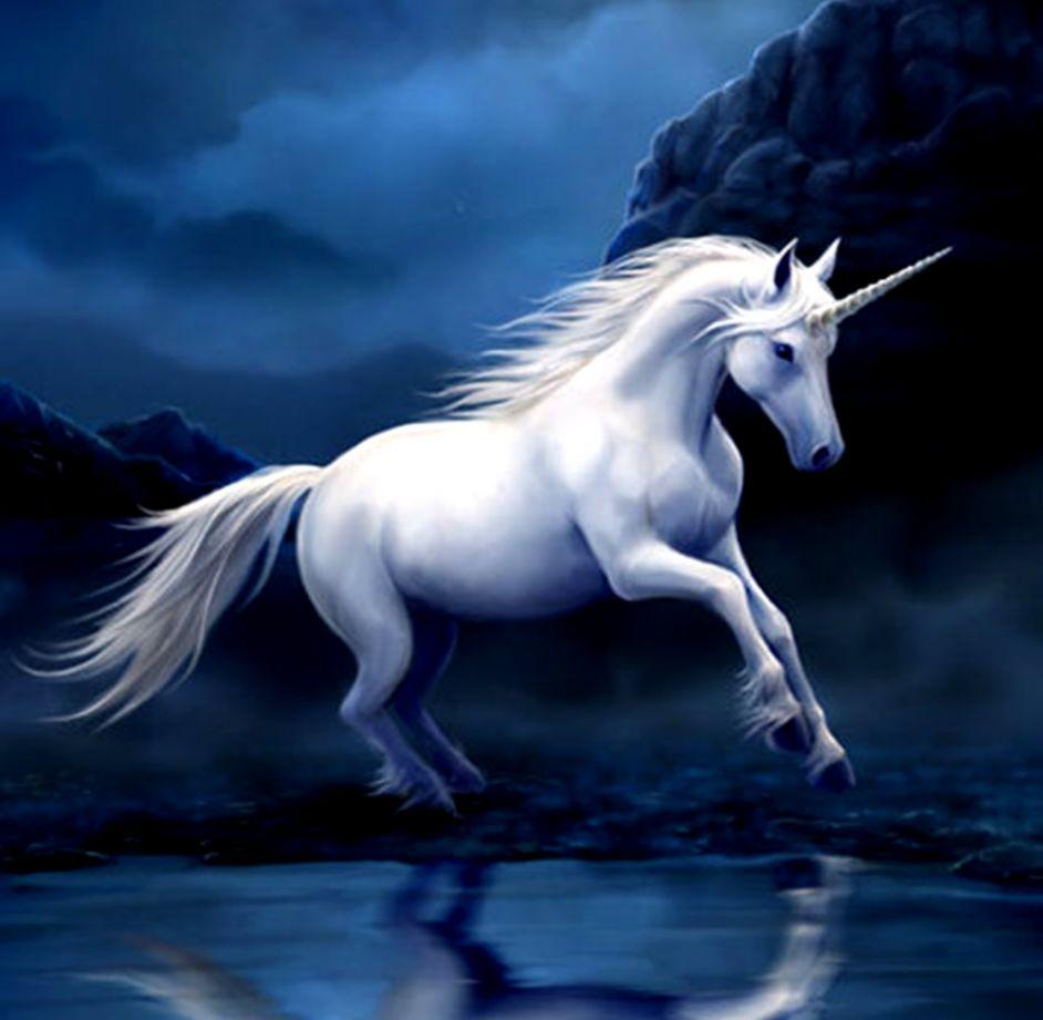 Unduh 42 Wallpaper Unicorn Horse Foto Viral Posts.id