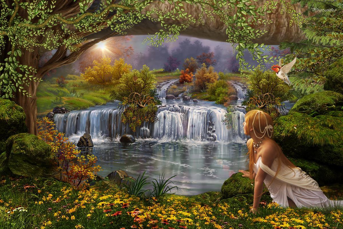 The Fairy Forest Wallpapers Wallpaper Cave