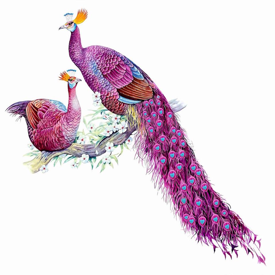 Ted Baker Wallpapers Wallpaper Cave