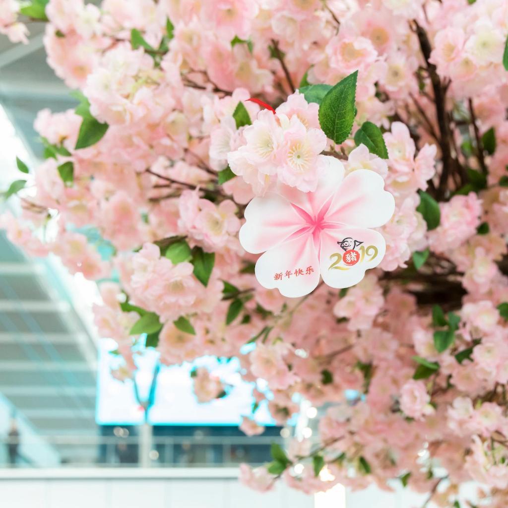 Ted Baker Wallpapers Wallpaper Cave