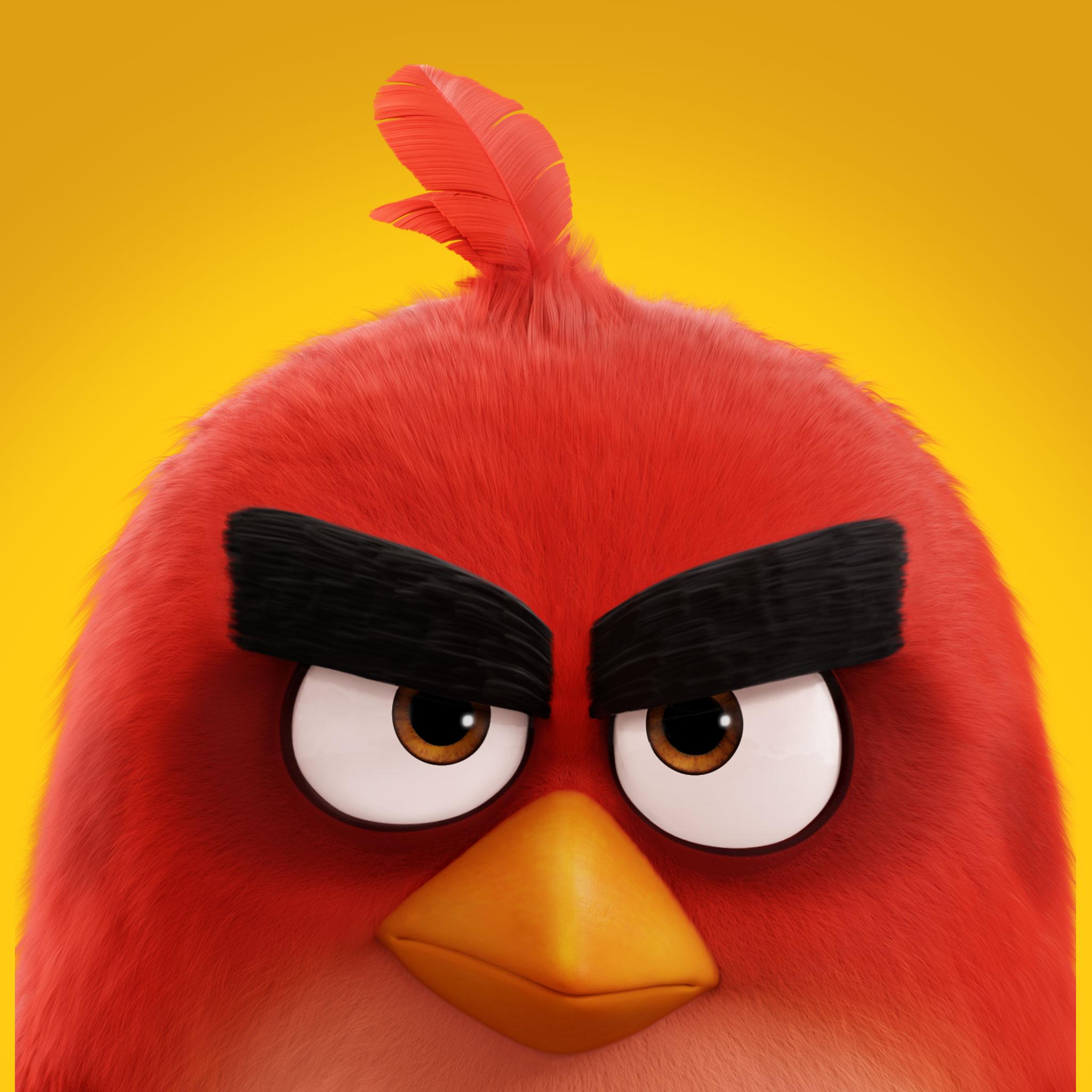 Angry Birds Movie 2 Red Wallpapers Wallpaper Cave