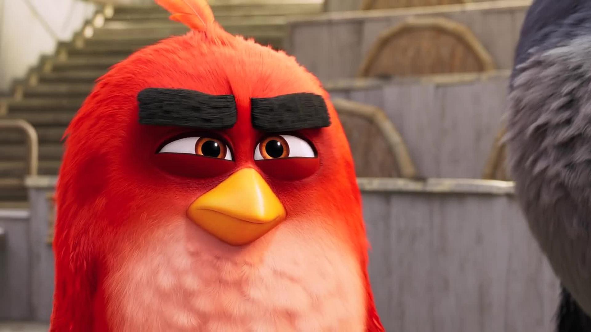 Angry Birds Movie 2 Red Wallpapers Wallpaper Cave