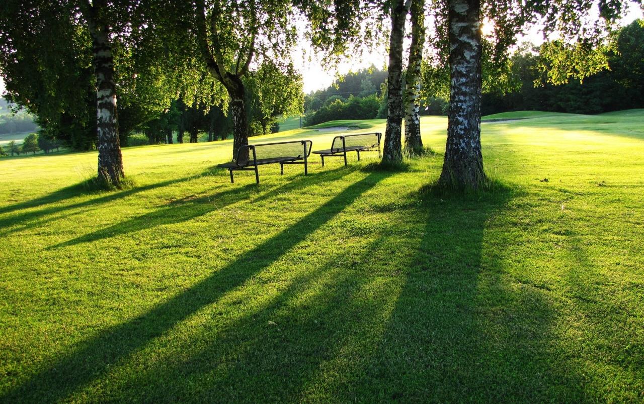 Green Park Wallpapers Wallpaper Cave