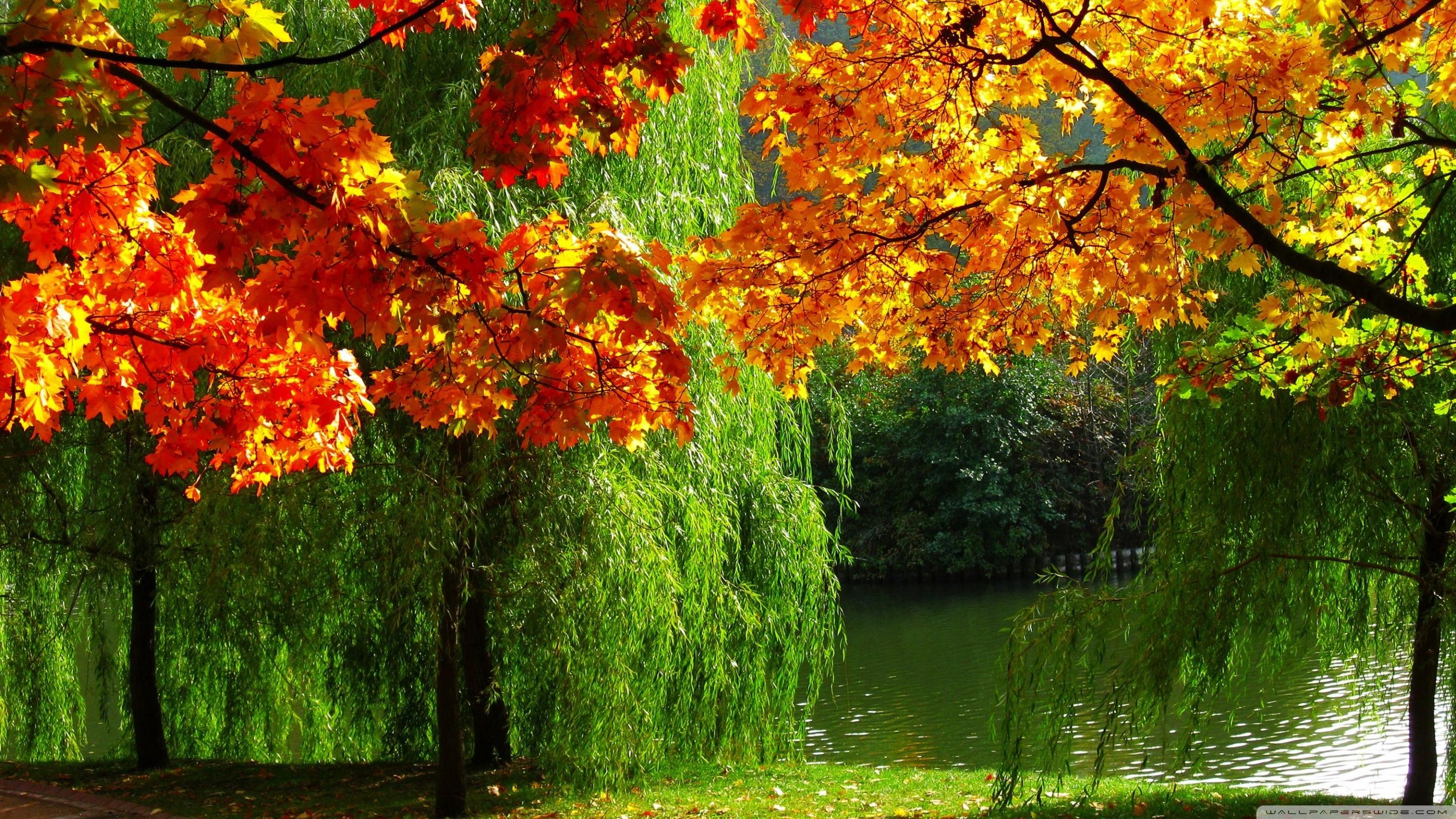 Green Park Wallpapers Wallpaper Cave