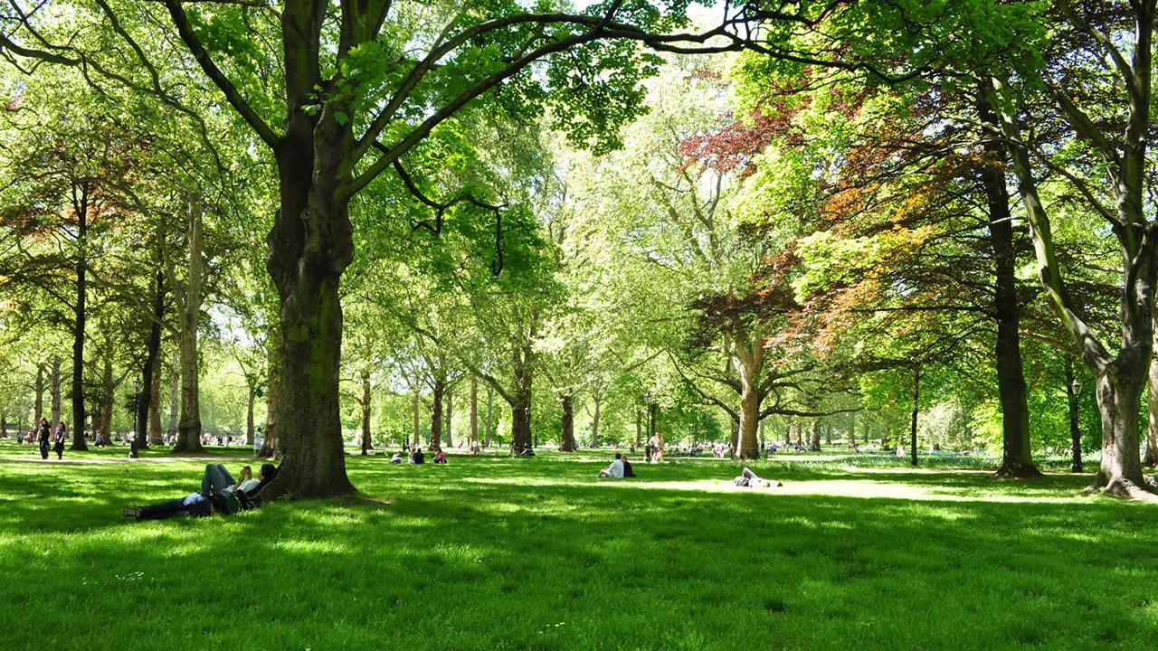 Green Park Wallpapers Wallpaper Cave