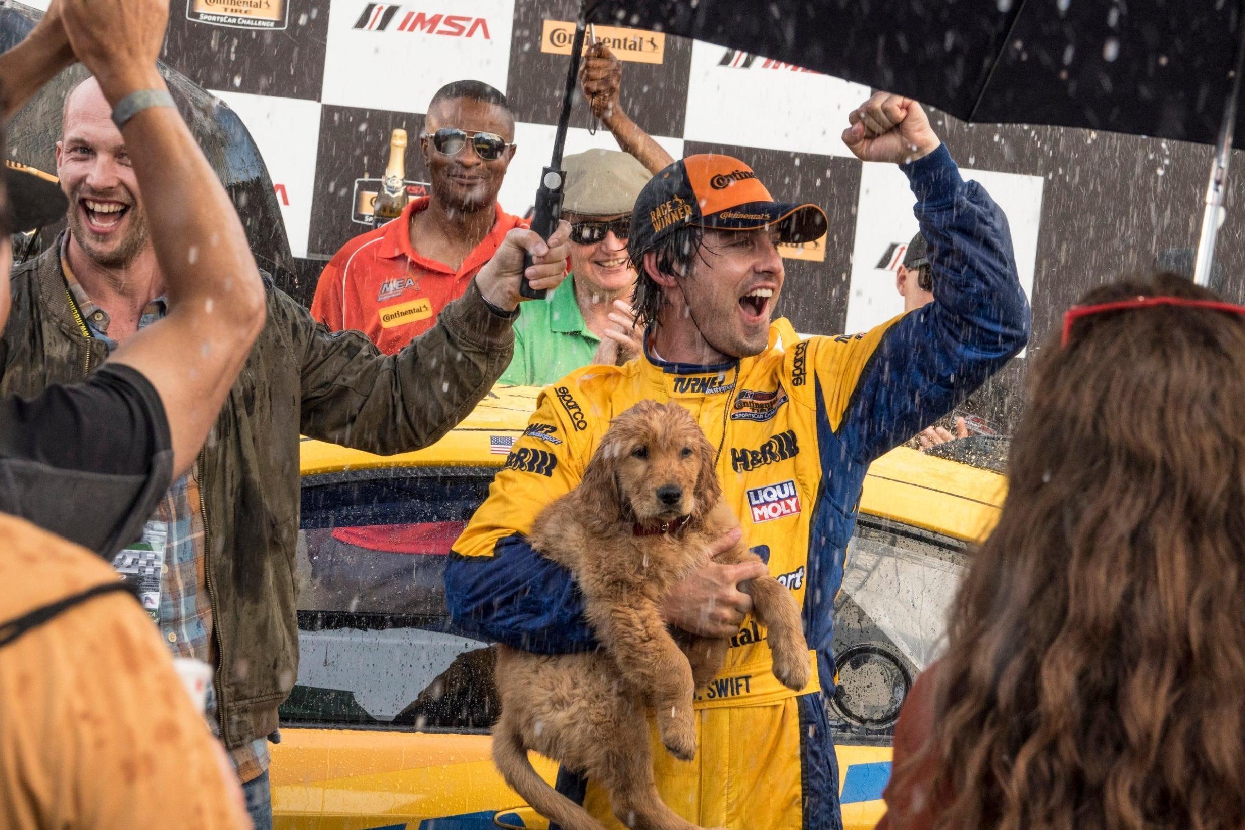 The Art Of Racing In The Rain Movie Wallpapers Wallpaper Cave