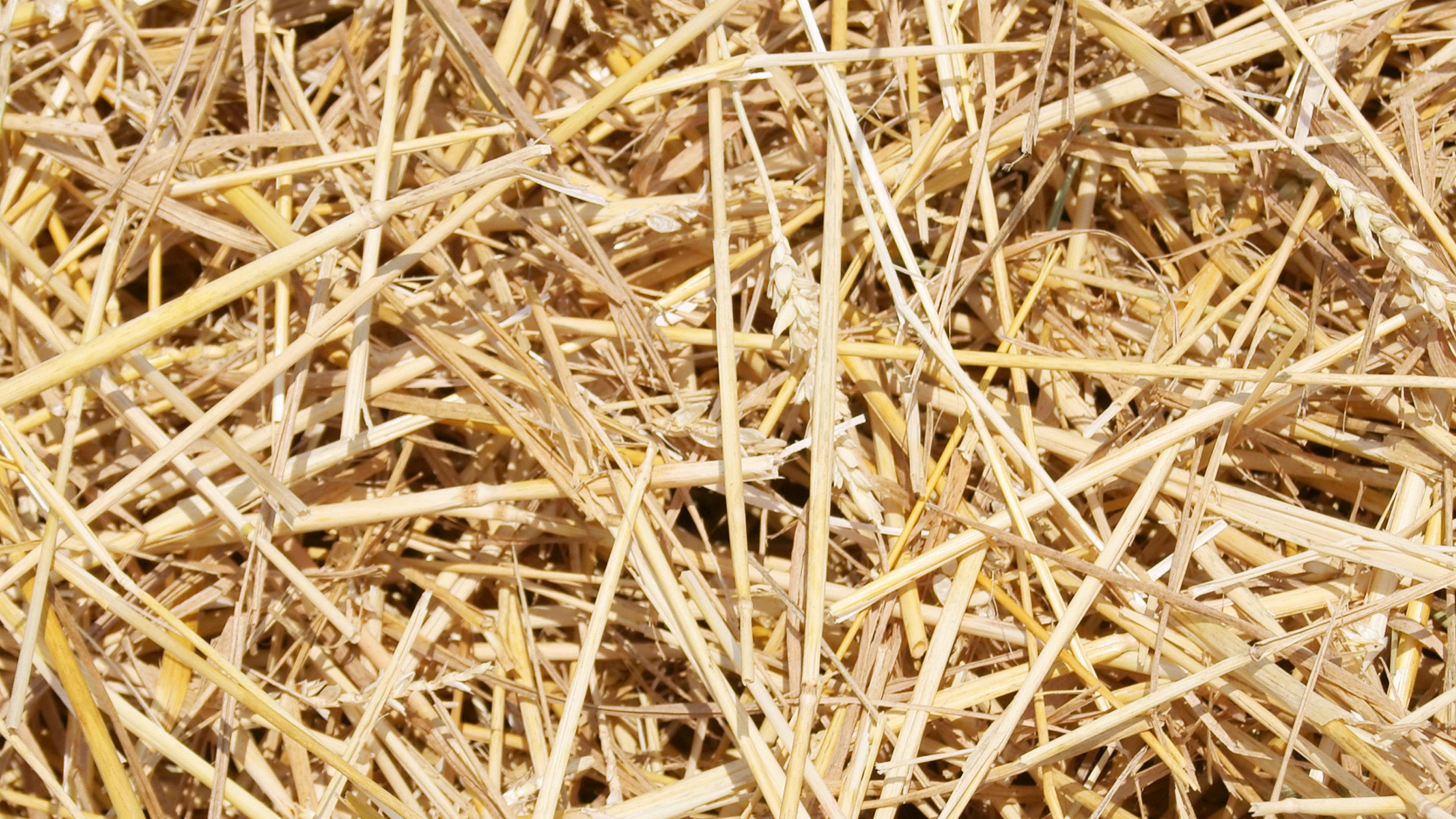 Straw Wallpapers Wallpaper Cave