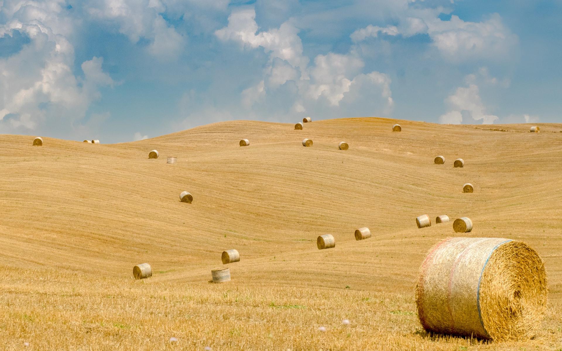 Straw Wallpapers Wallpaper Cave