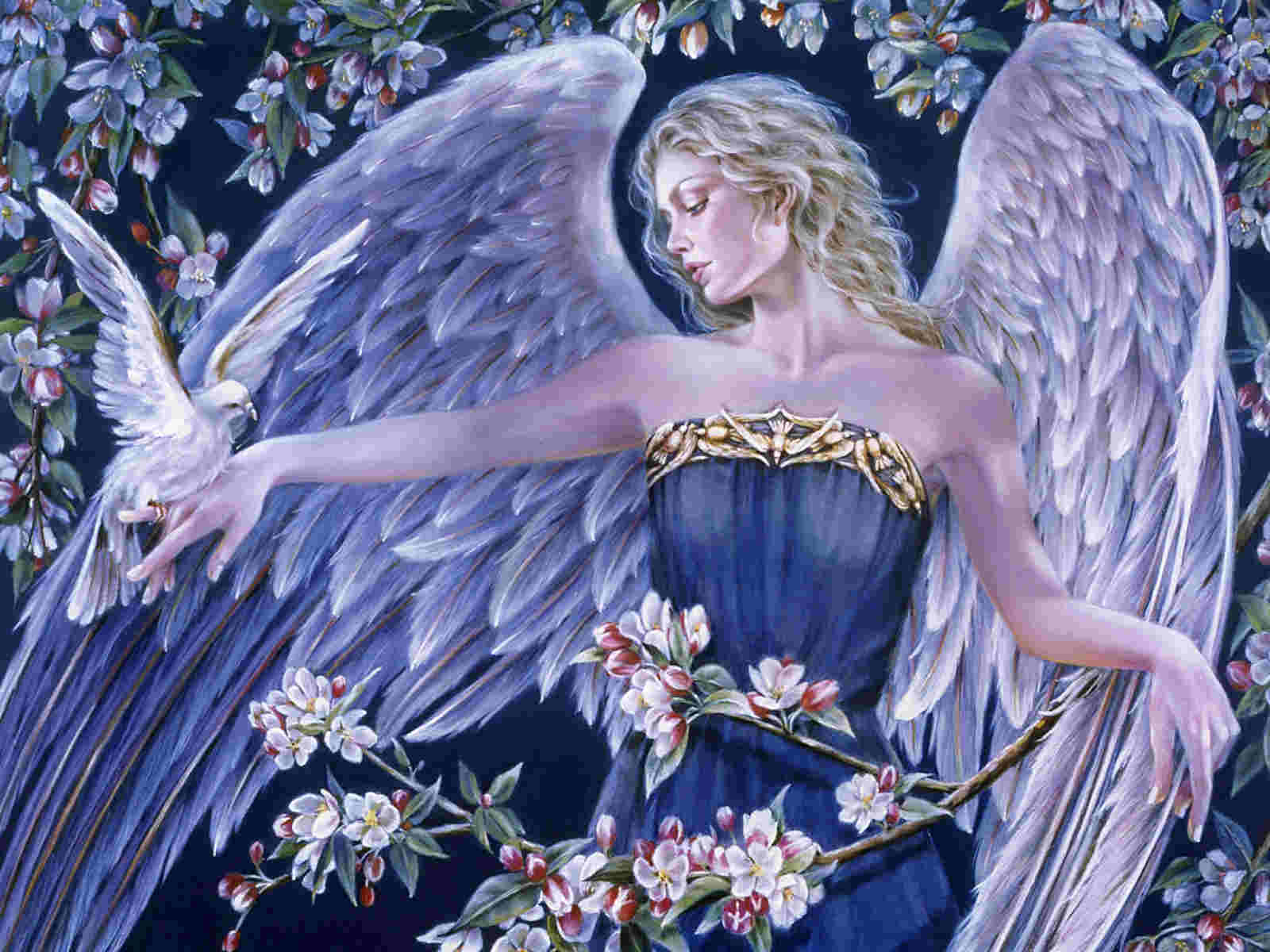 Angel Of Peace Wallpapers Wallpaper Cave