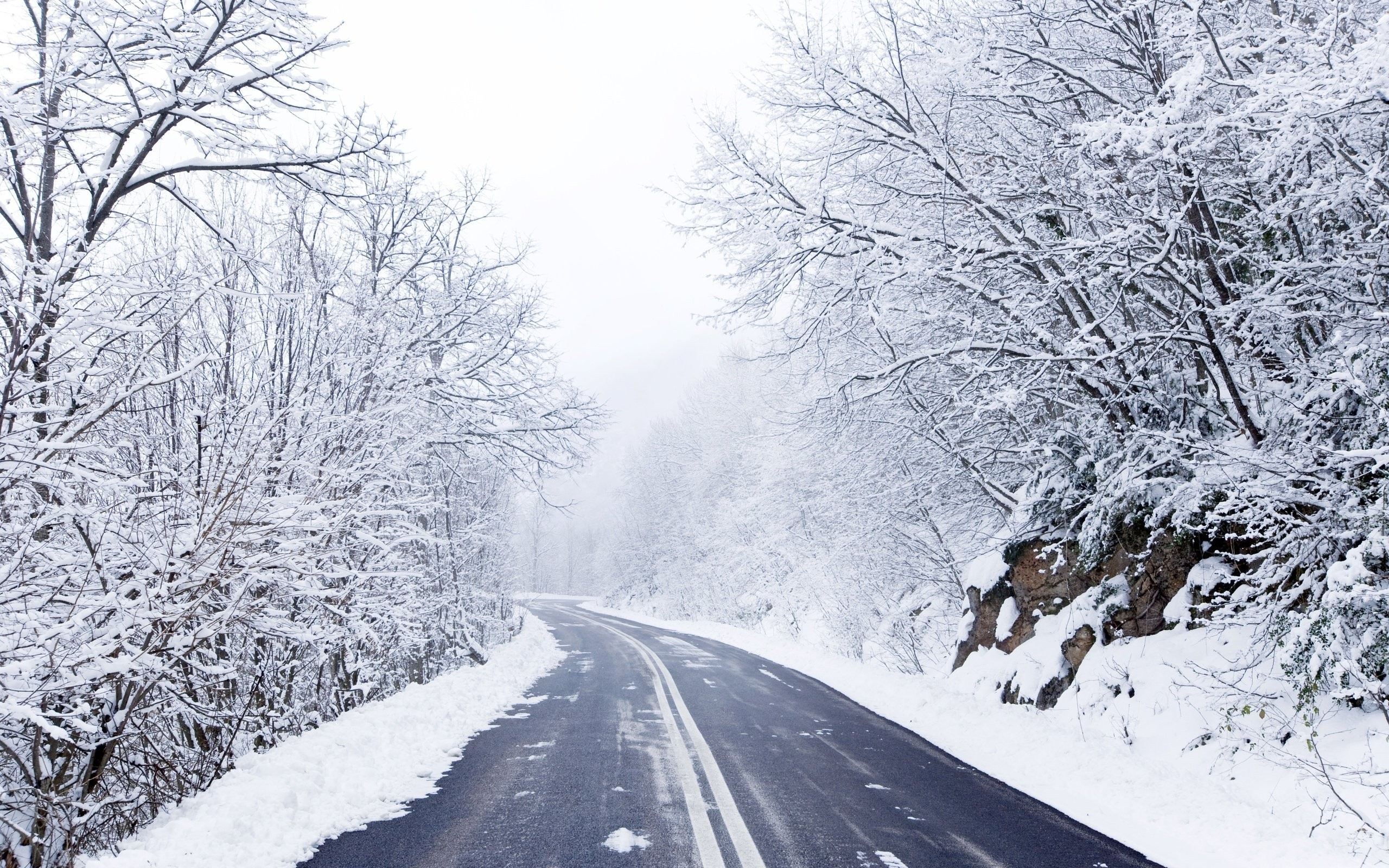 Winter Forest Road Wallpapers Wallpaper Cave