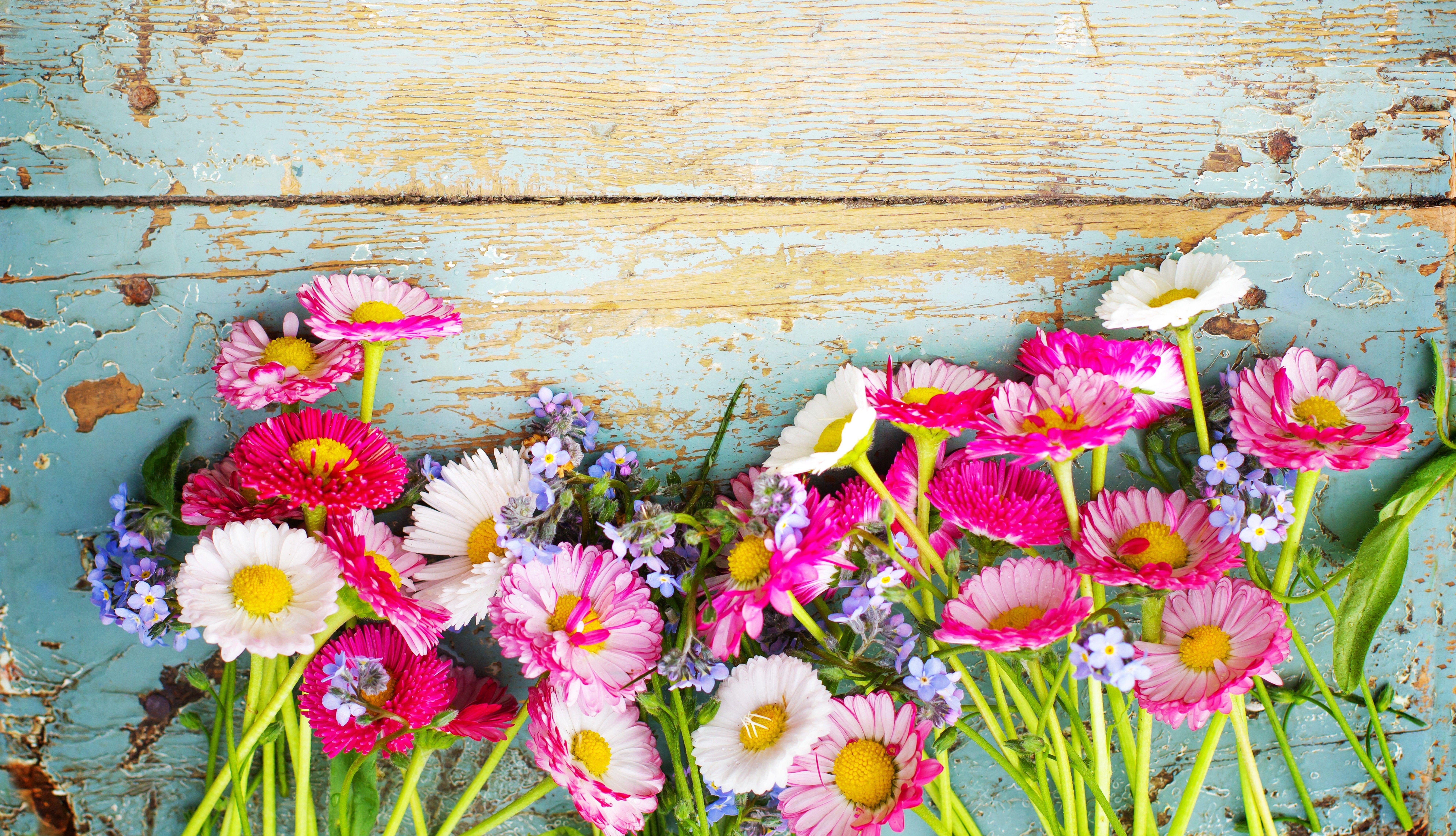 Summer Wildflowers Wallpapers Wallpaper Cave