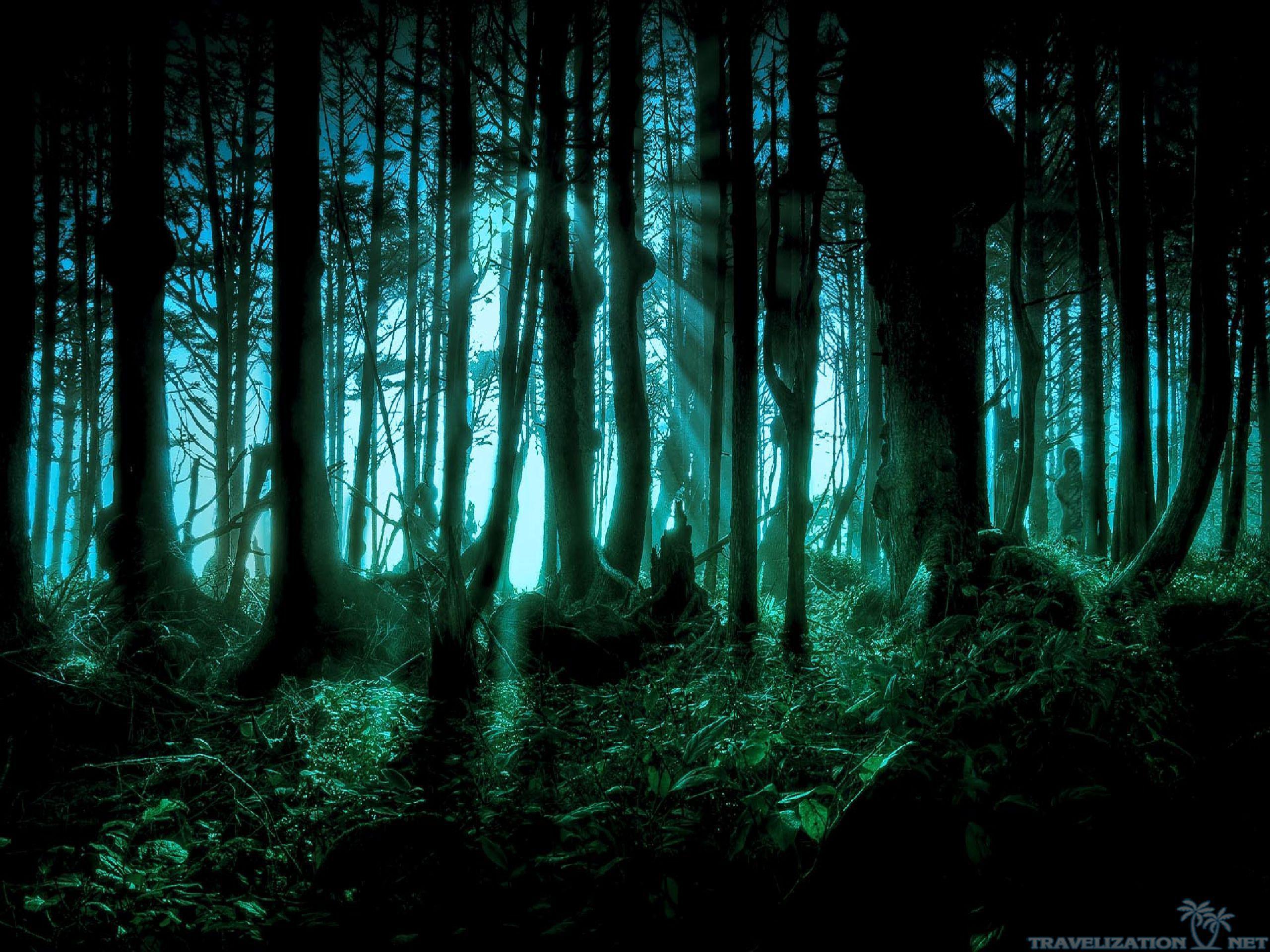 Spooky Forest Wallpapers - Wallpaper Cave