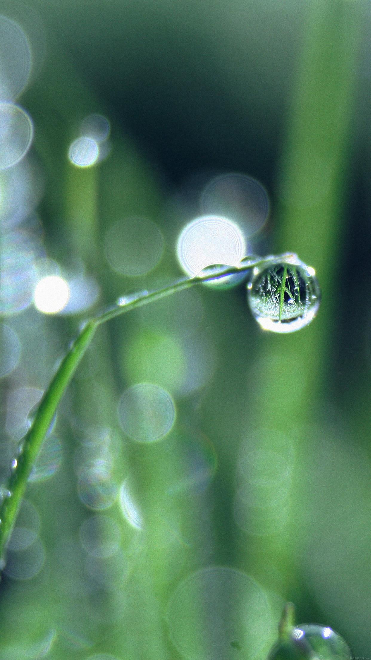 Rain Drop HD Android Wallpapers Wallpaper Cave