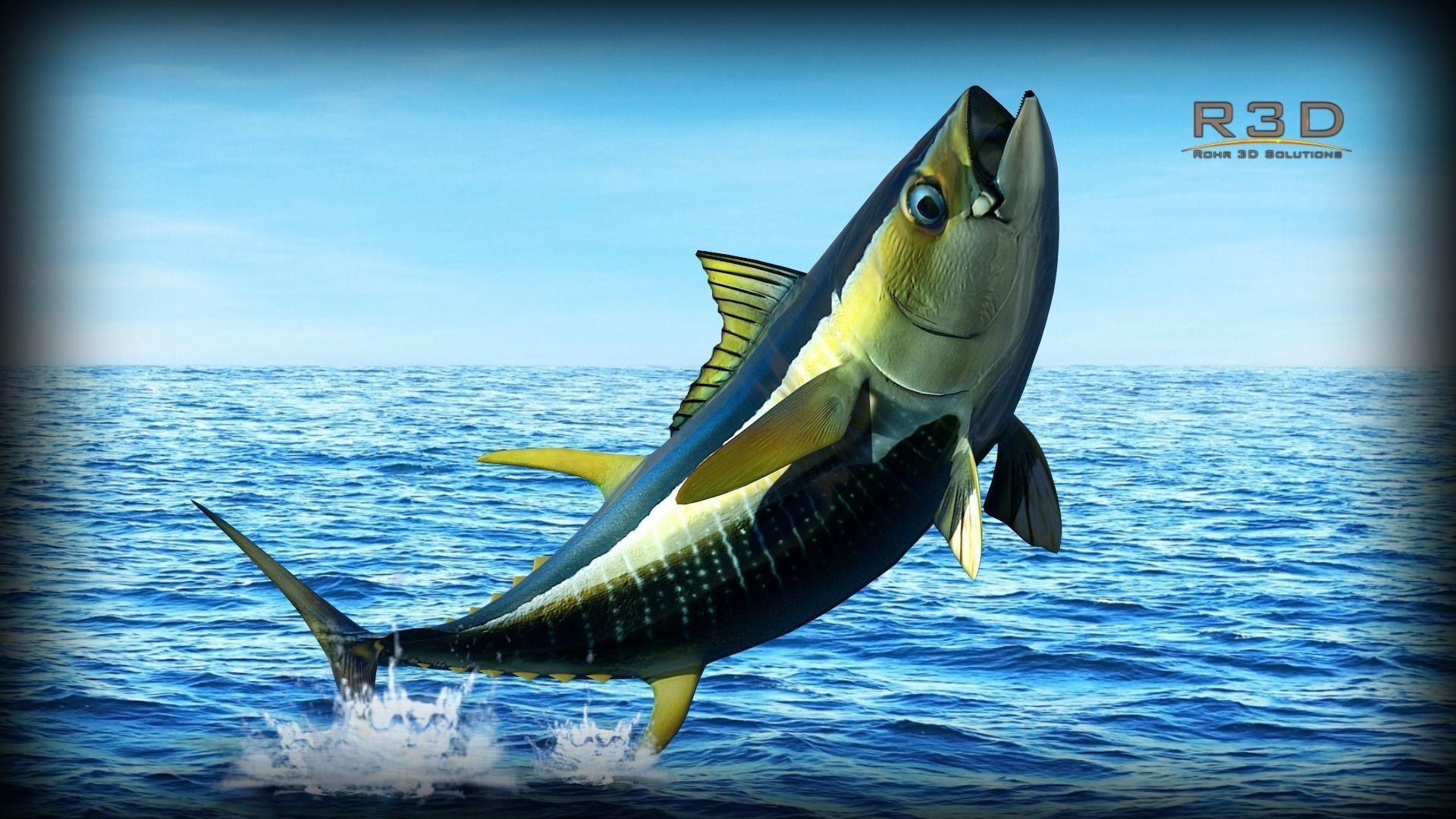 Yellowfin Tuna Wallpapers Wallpaper Cave