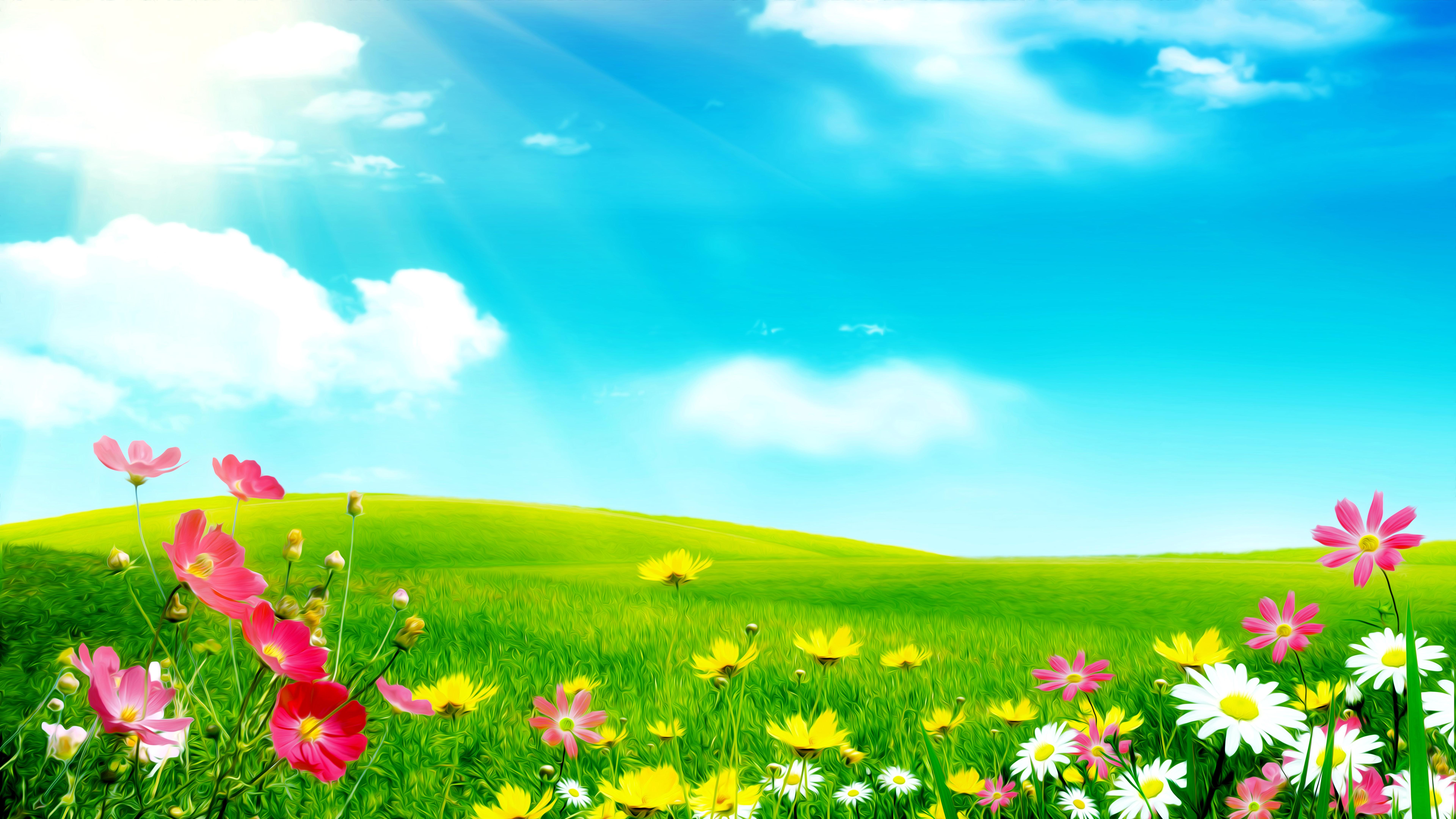 Flower Meadow Wallpapers Wallpaper Cave