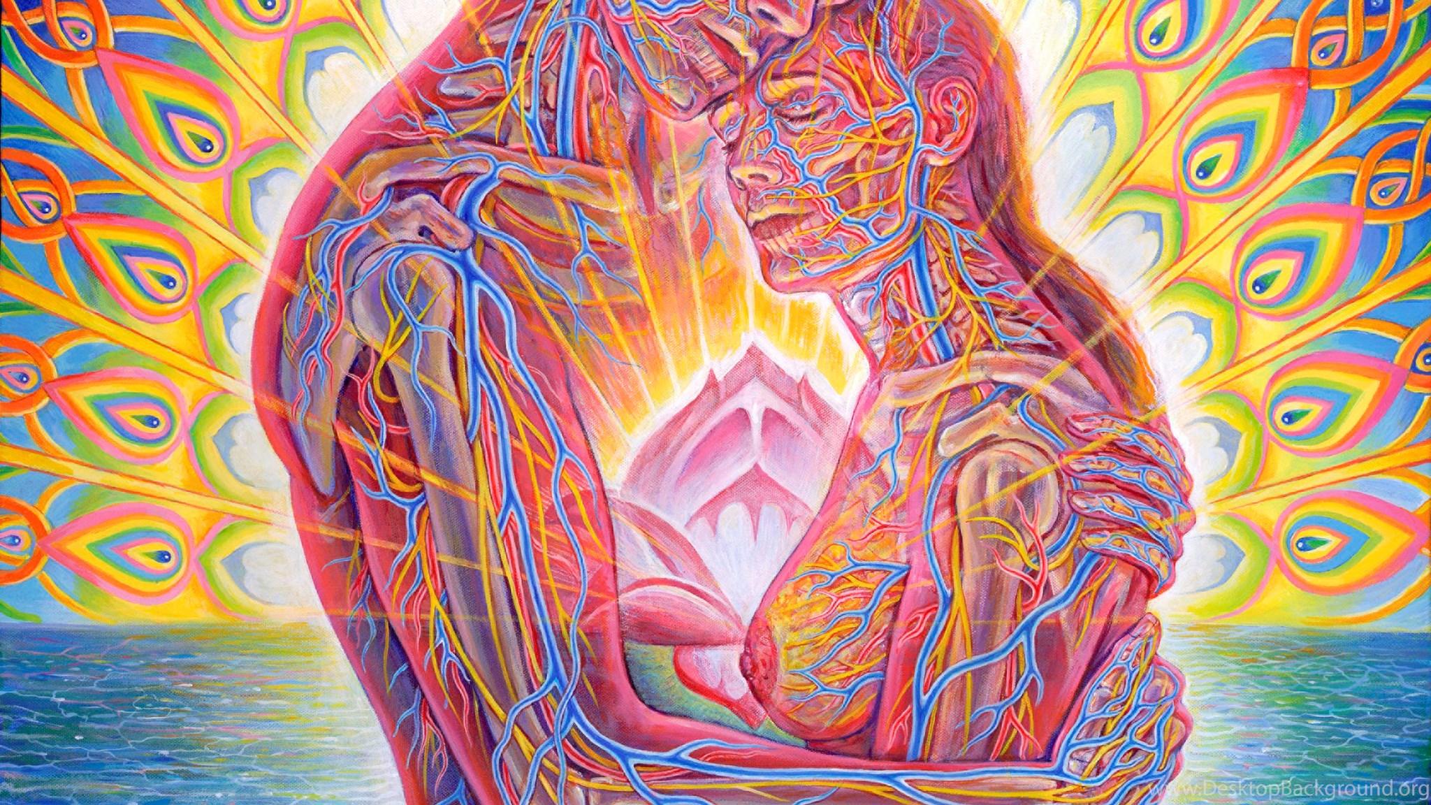 Alex Grey Wallpapers Wallpaper Cave