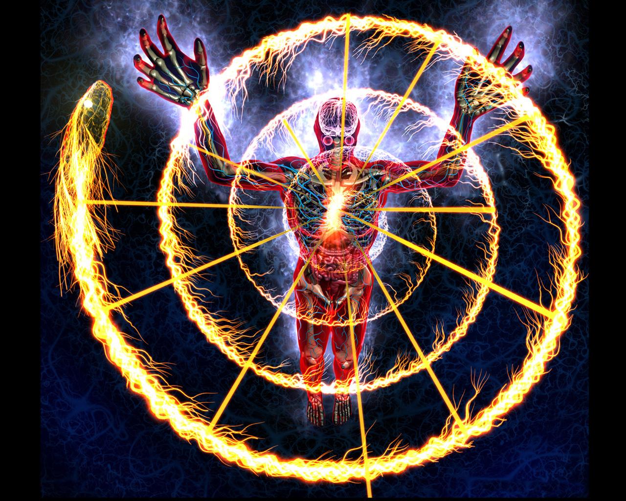 Alex Grey Wallpapers Wallpaper Cave