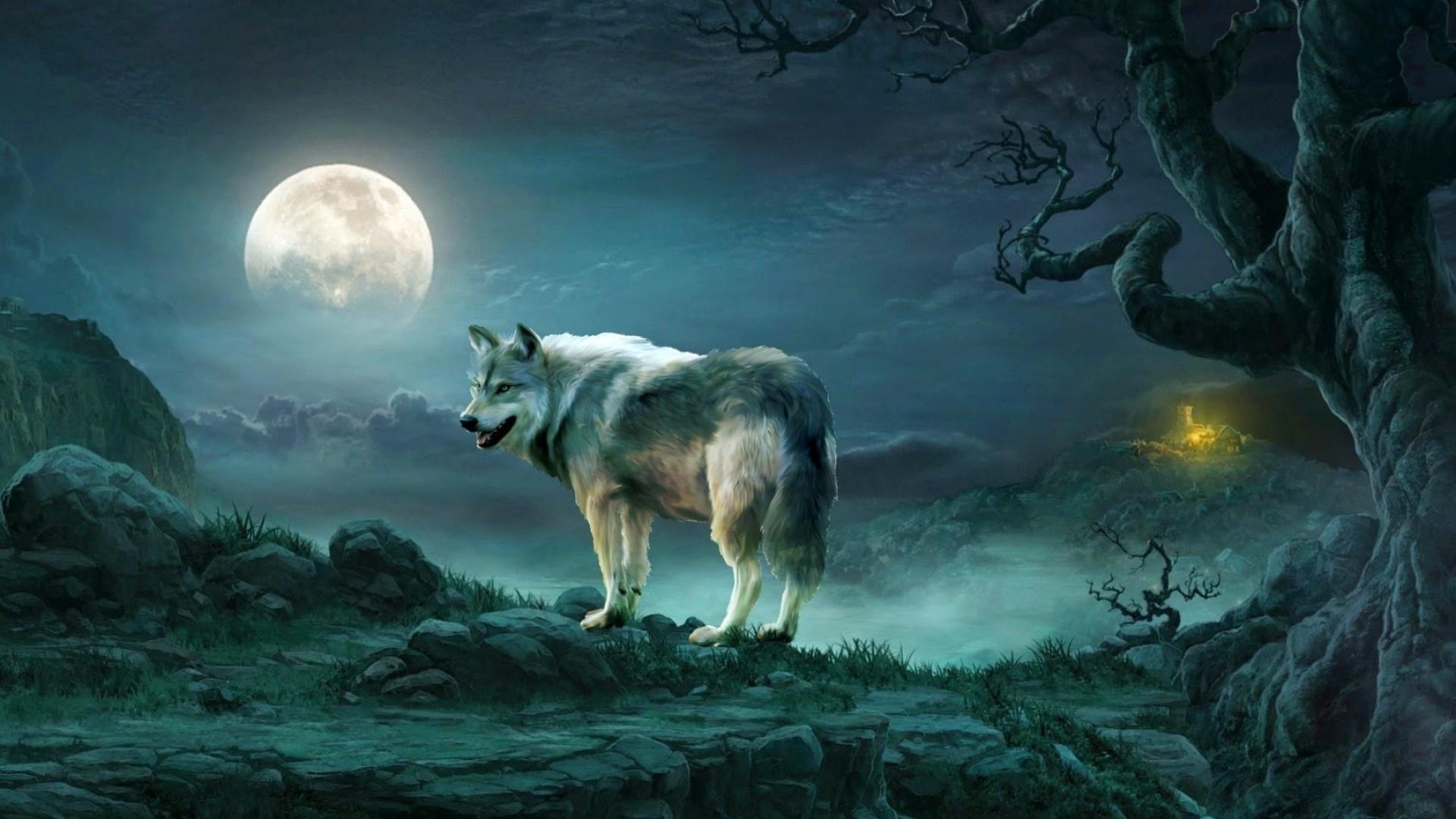 Wolf And Moon Wallpapers Wallpaper Cave