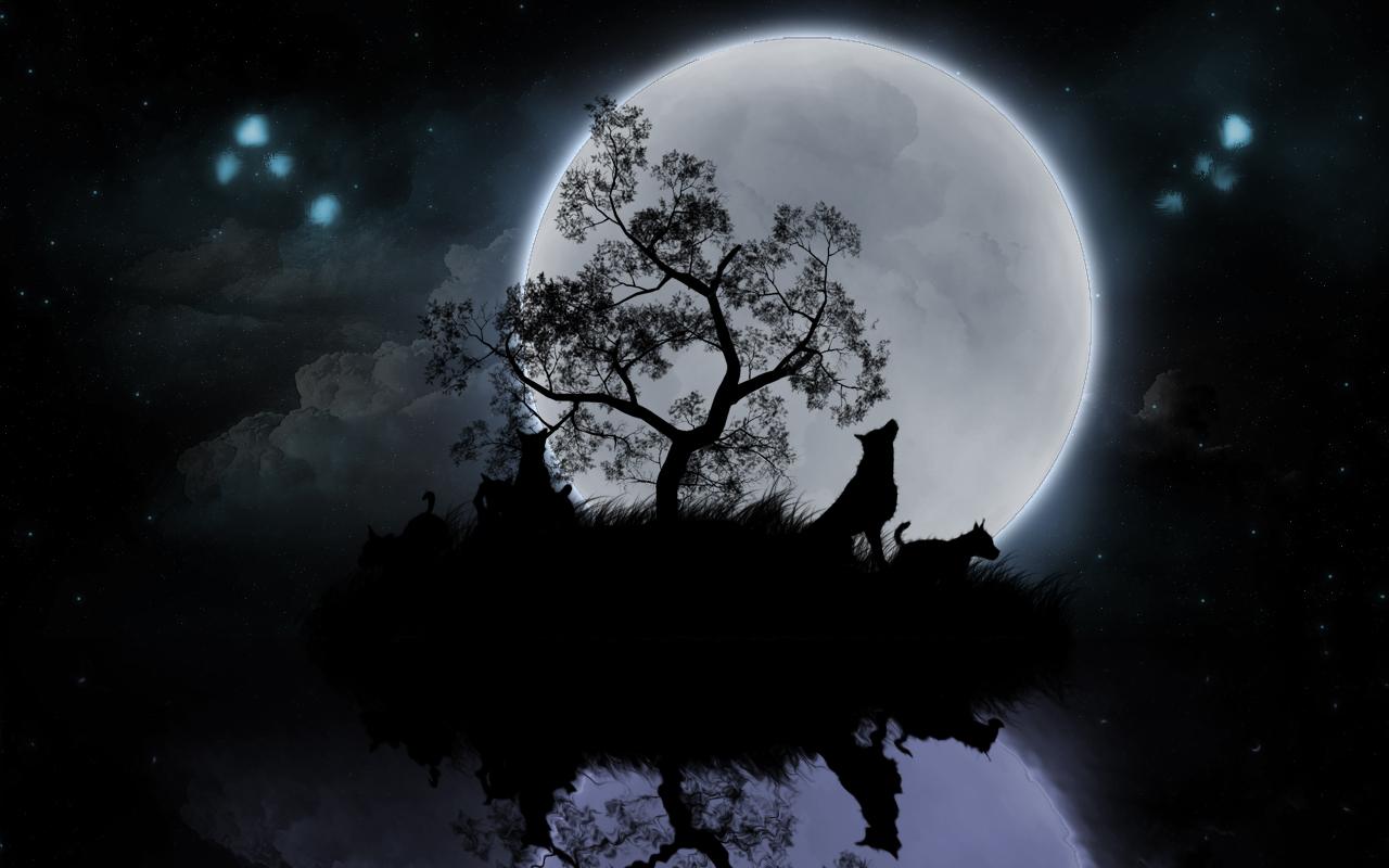 Wolf And Moon Wallpapers Wallpaper Cave