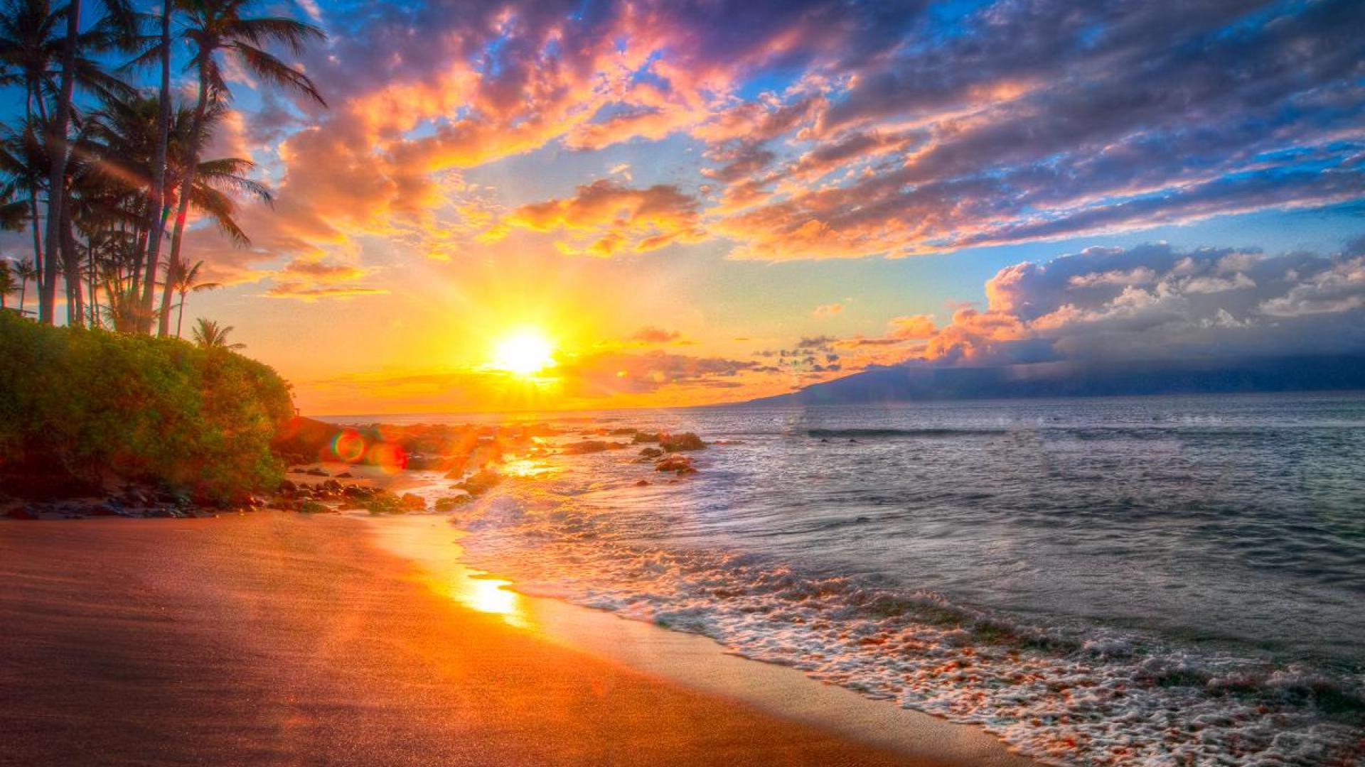 Hawaii Beach Sunset Wallpaper