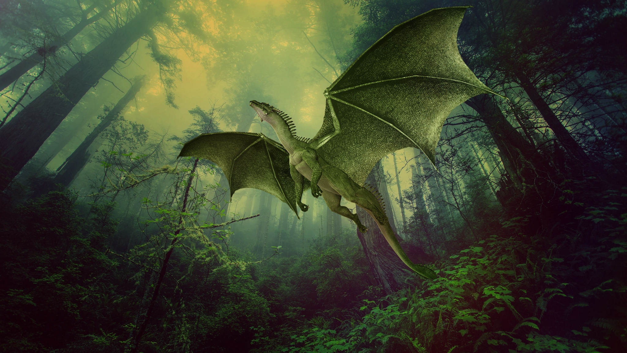 Dragon 2048x1152 Wallpapers Wallpaper Cave