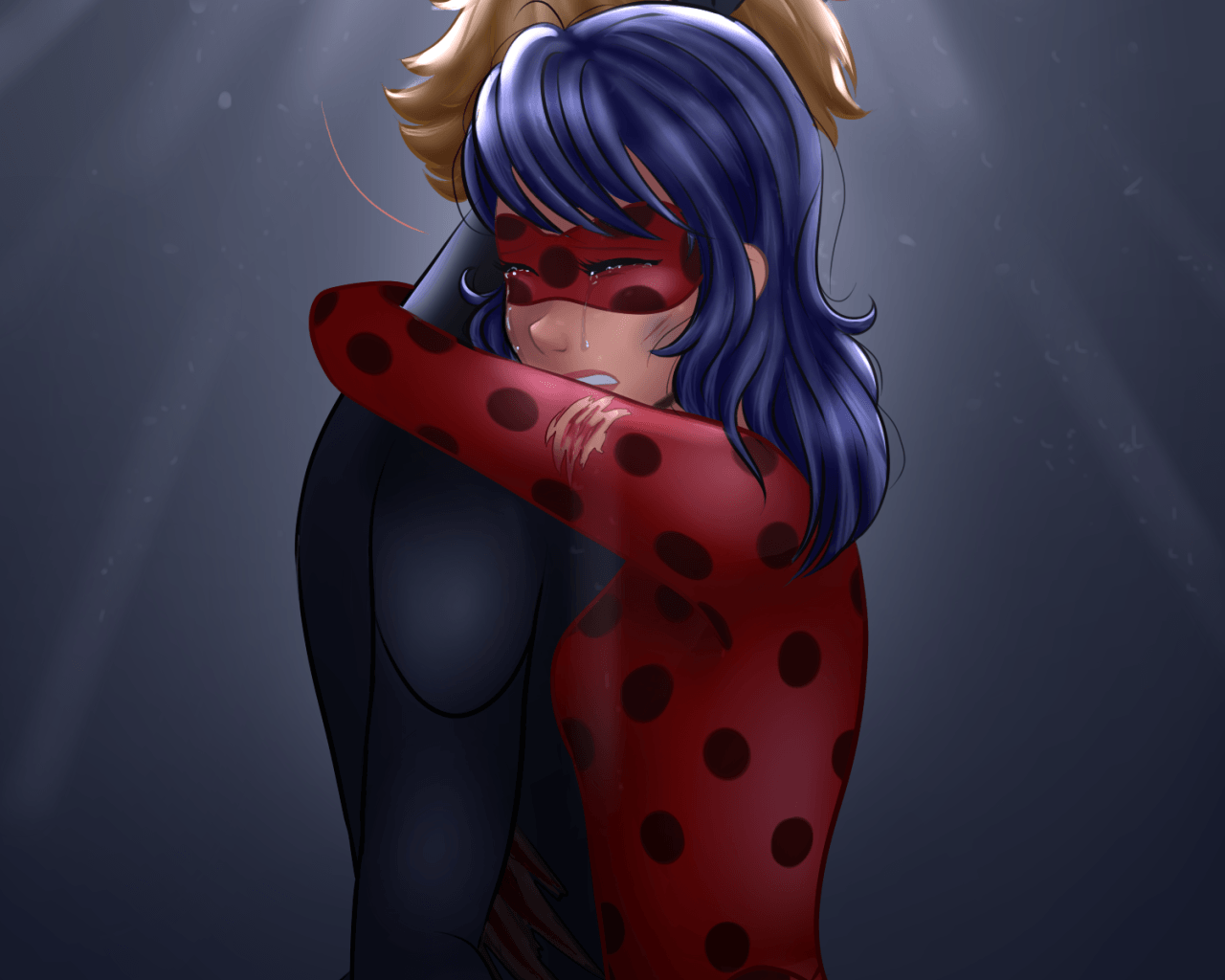 Ladybug And Cat Noir Wallpapers Wallpaper Cave