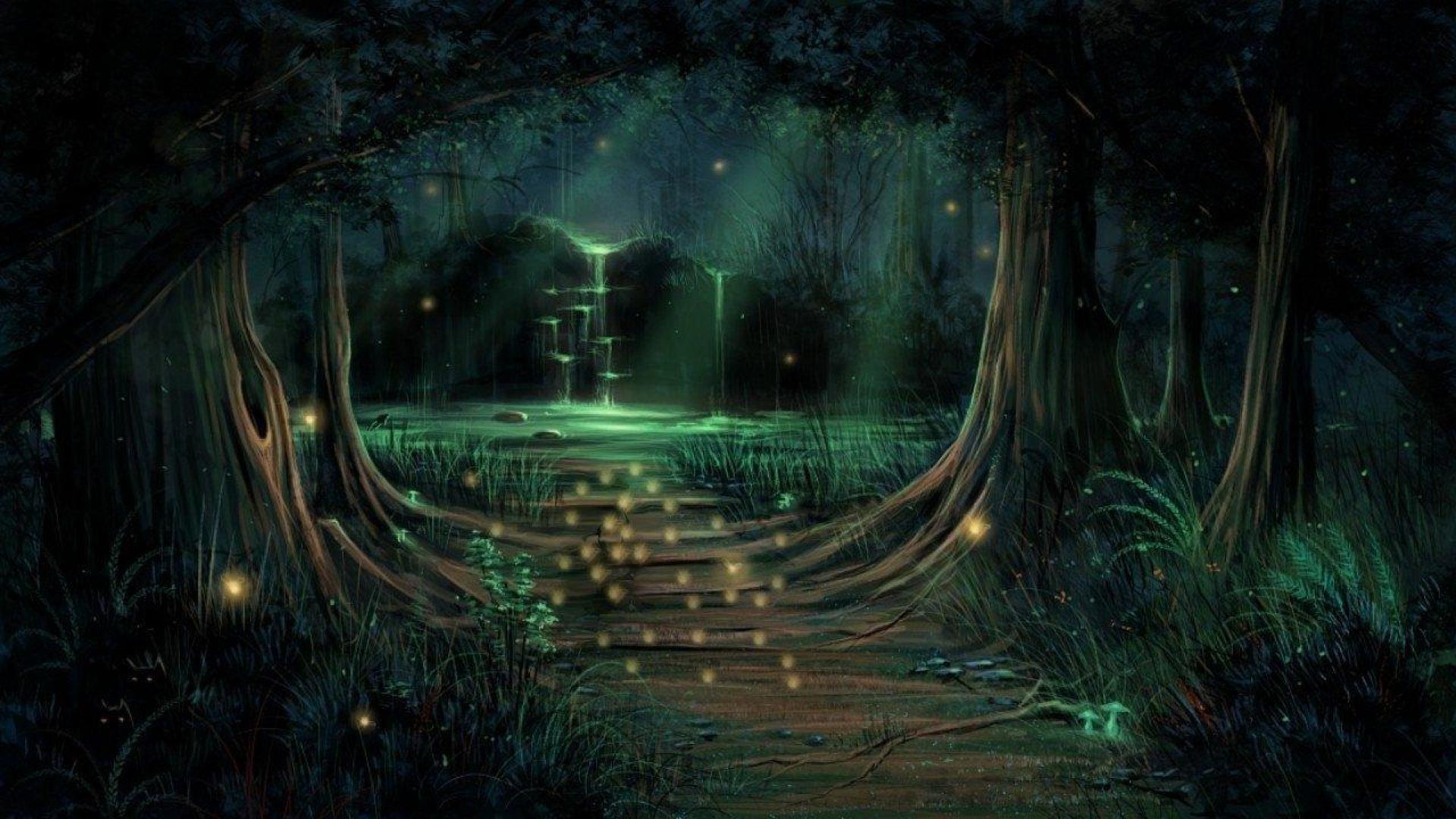 Enchanting Forest Wallpapers Wallpaper Cave