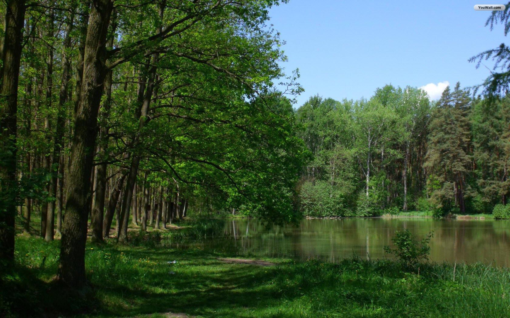 Nature Border Wallpapers Wallpaper Cave