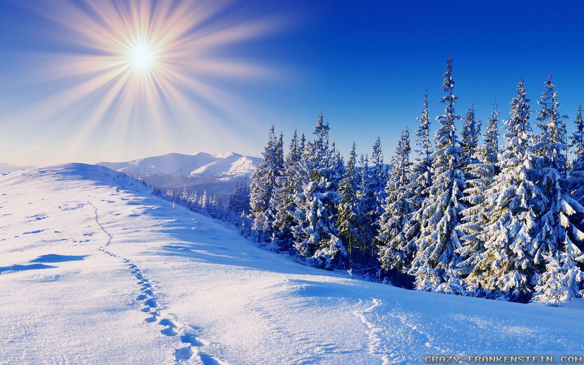 Winter 1920x1200 Wallpapers Wallpaper Cave