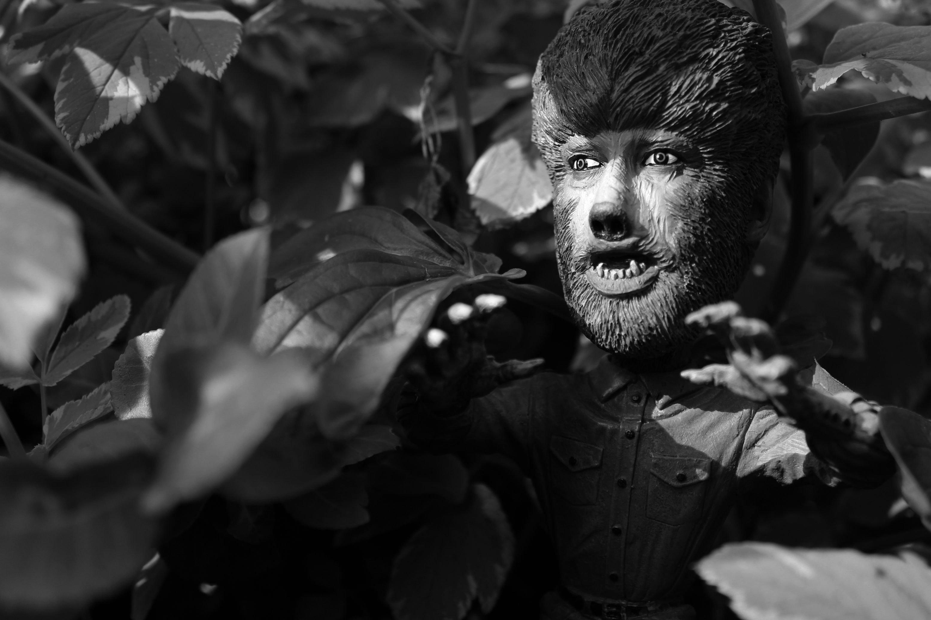 Wolfman Wallpapers Wallpaper Cave