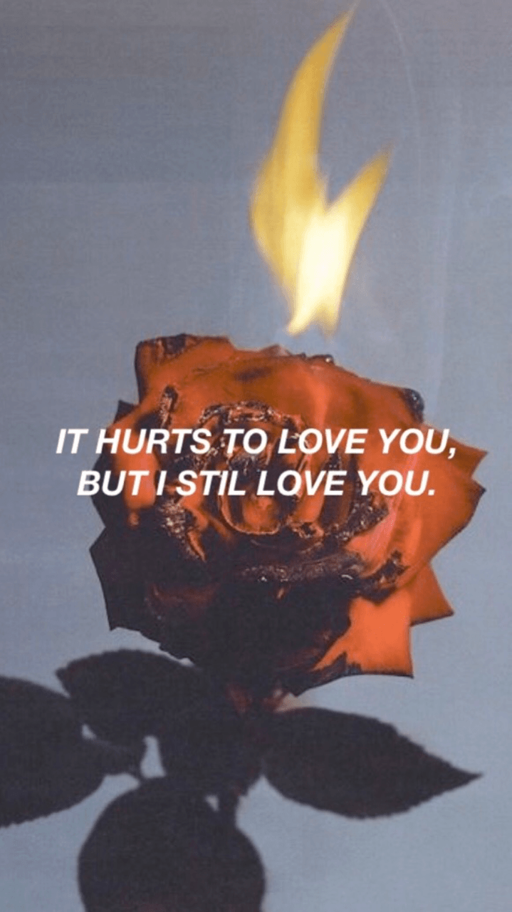 Rose On Fire Wallpapers Wallpaper Cave