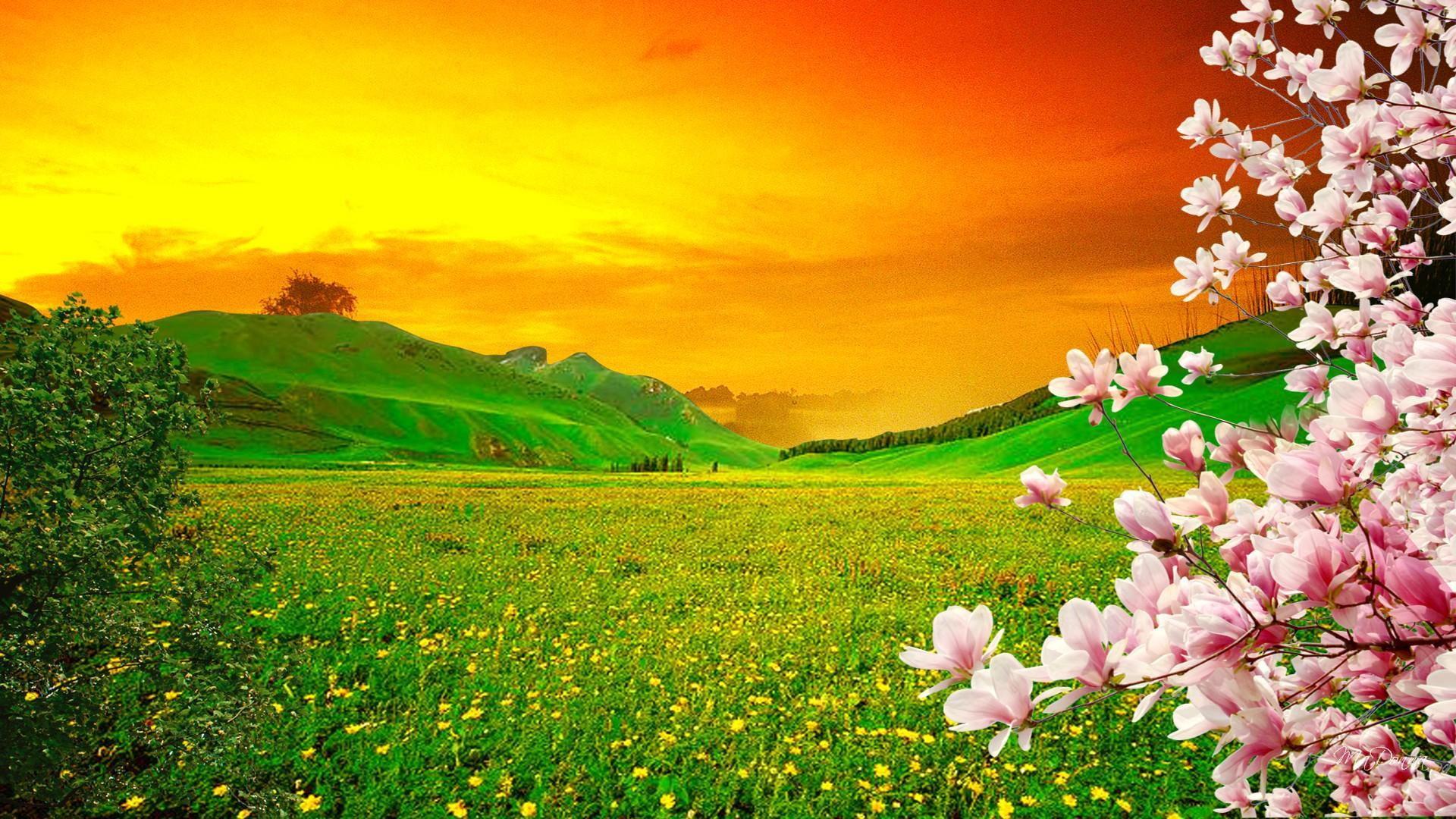 Blooming Meadow Wallpapers Wallpaper Cave