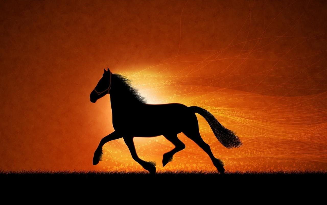 Horse Silhouette Wallpapers Wallpaper Cave