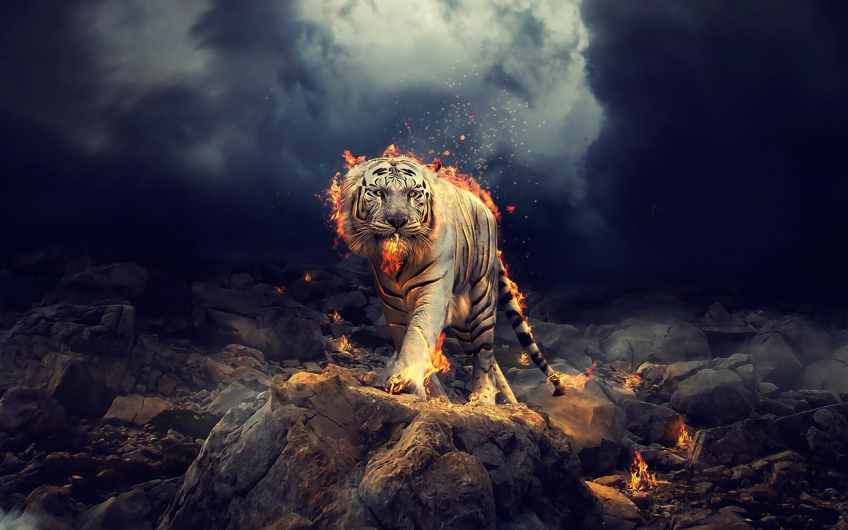 Tiger Fantasy Wallpapers Wallpaper Cave
