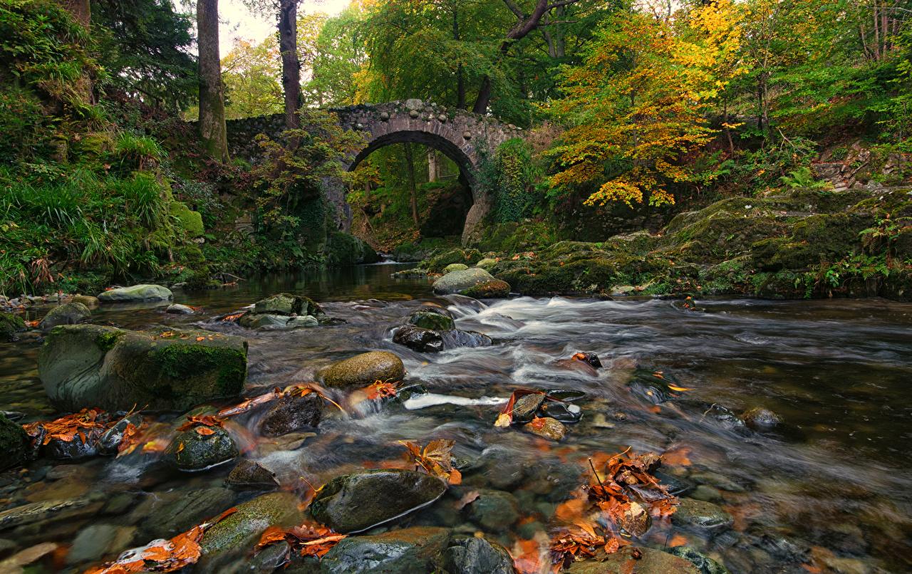 Autumn Ireland Wallpapers Wallpaper Cave