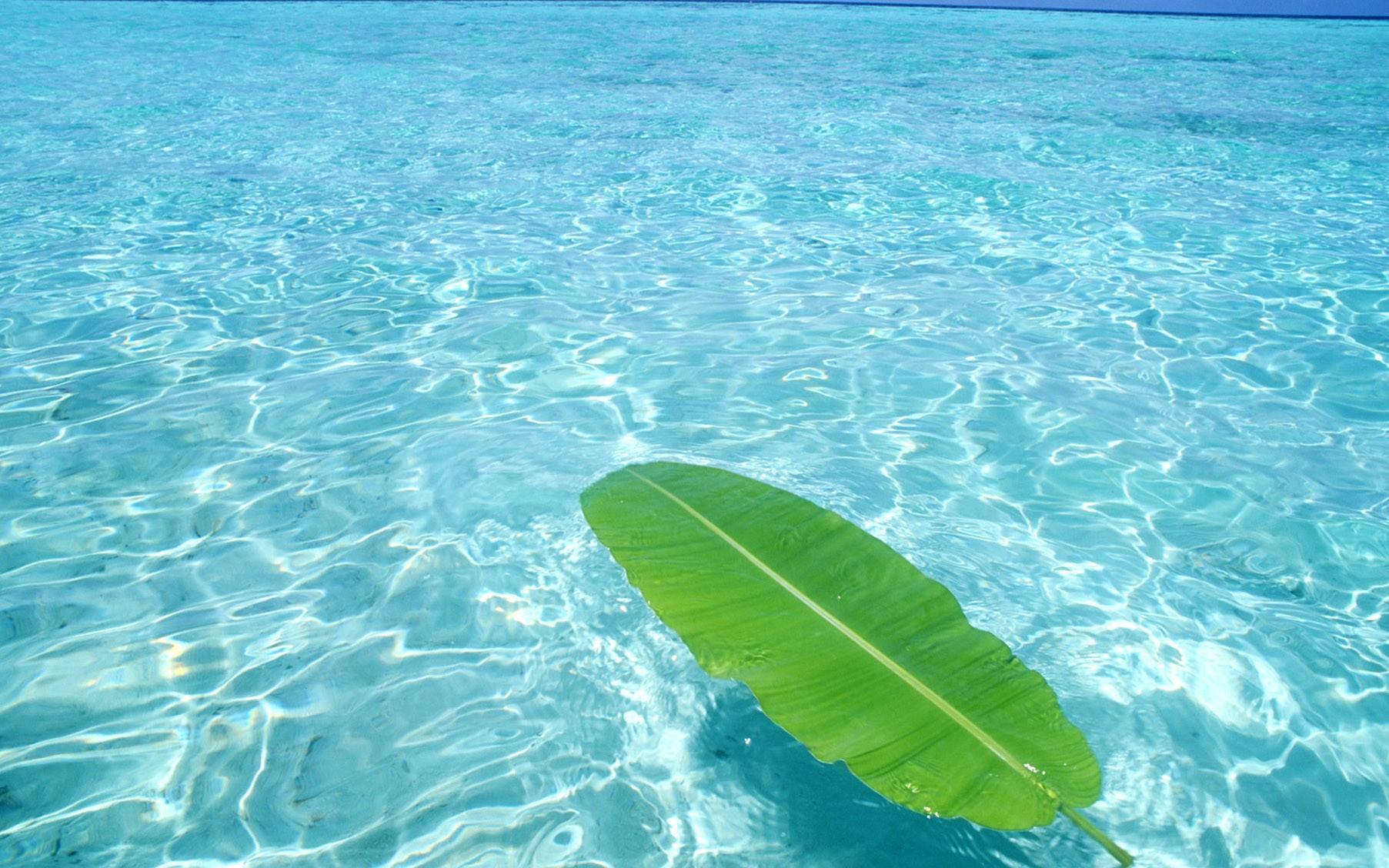 Sea HD Wallpapers Wallpaper Cave