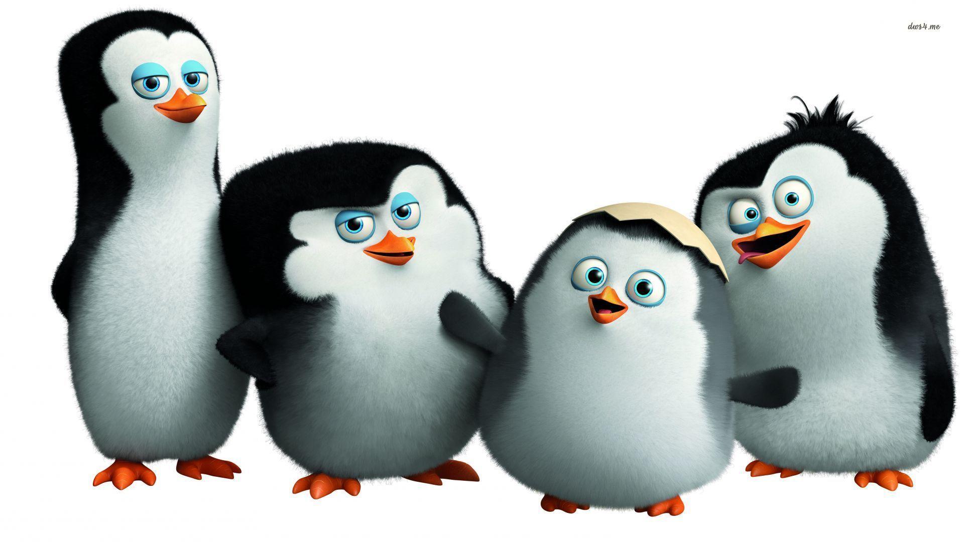 Cartoon Penguin Wallpapers Wallpaper Cave