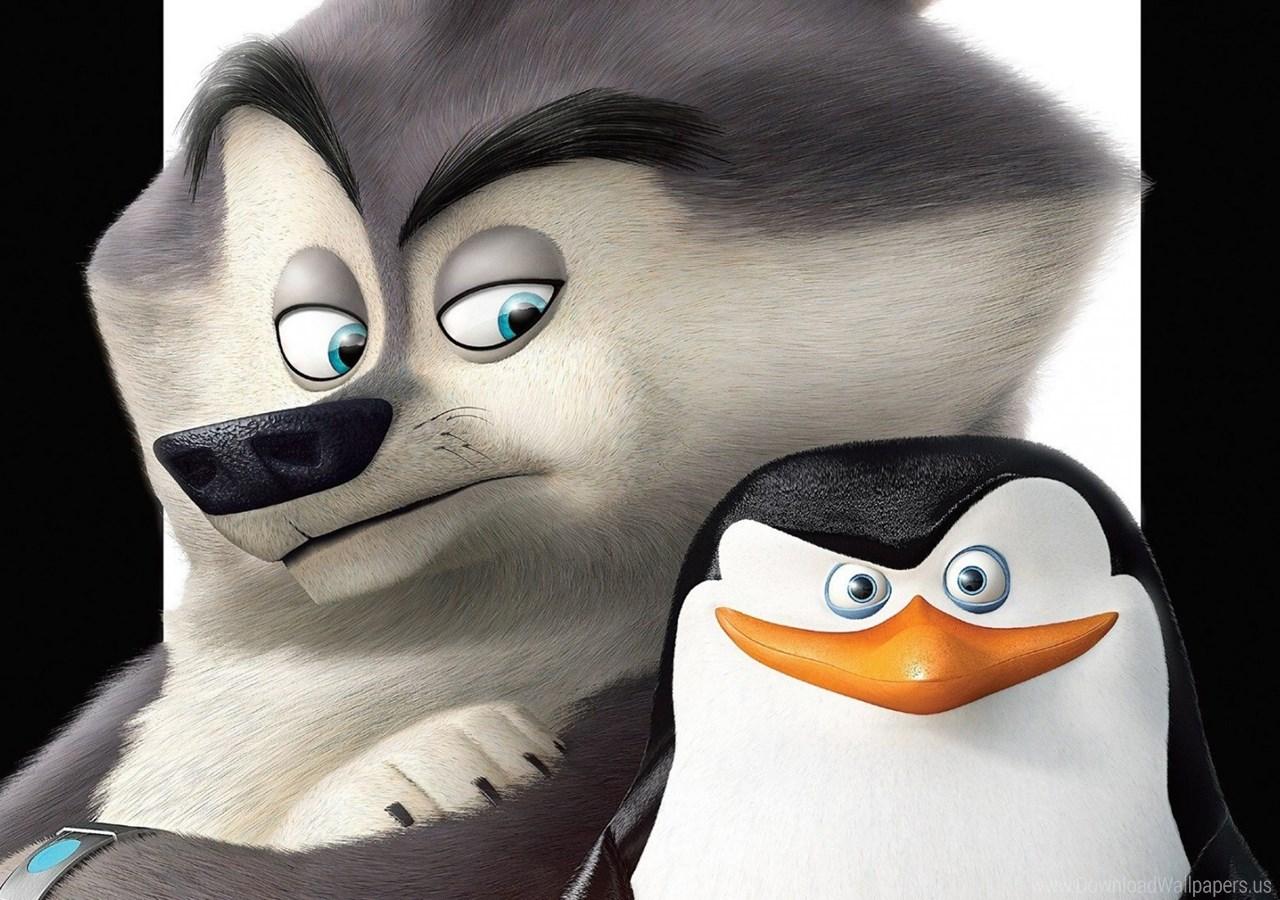 Cartoon Penguin Wallpapers Wallpaper Cave