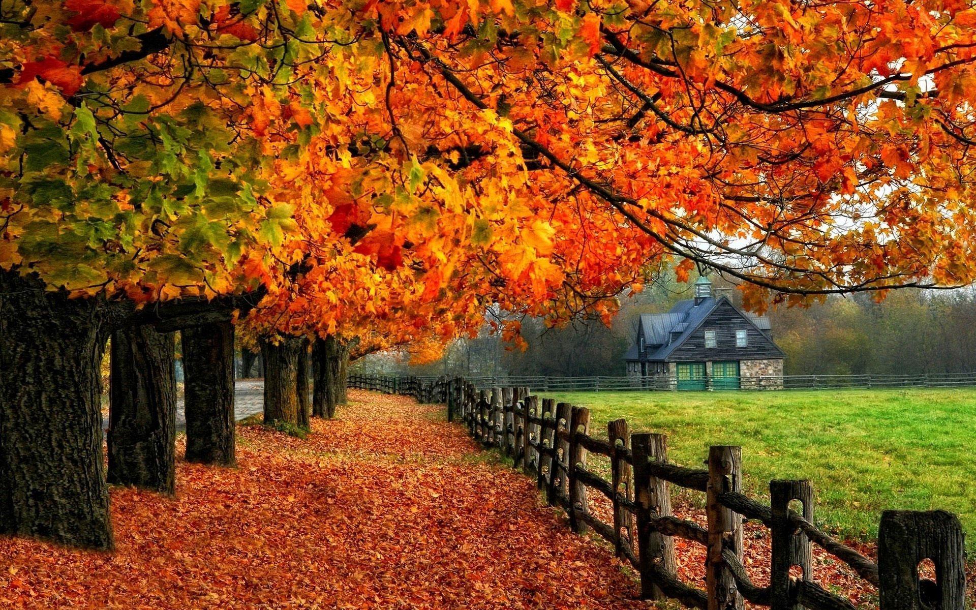 Autumn Houses Wallpapers Wallpaper Cave