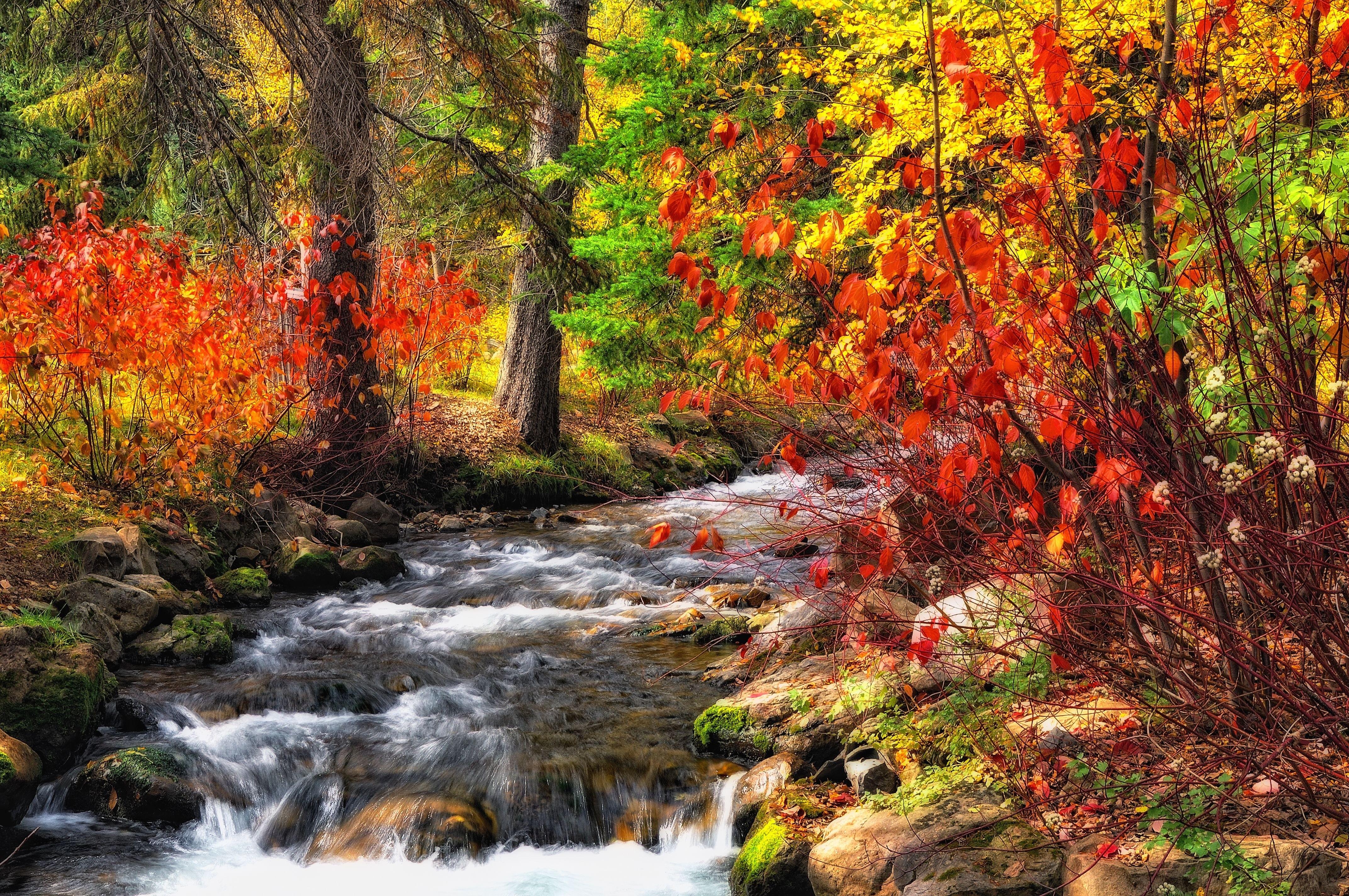 Autumn River Wallpapers Wallpaper Cave