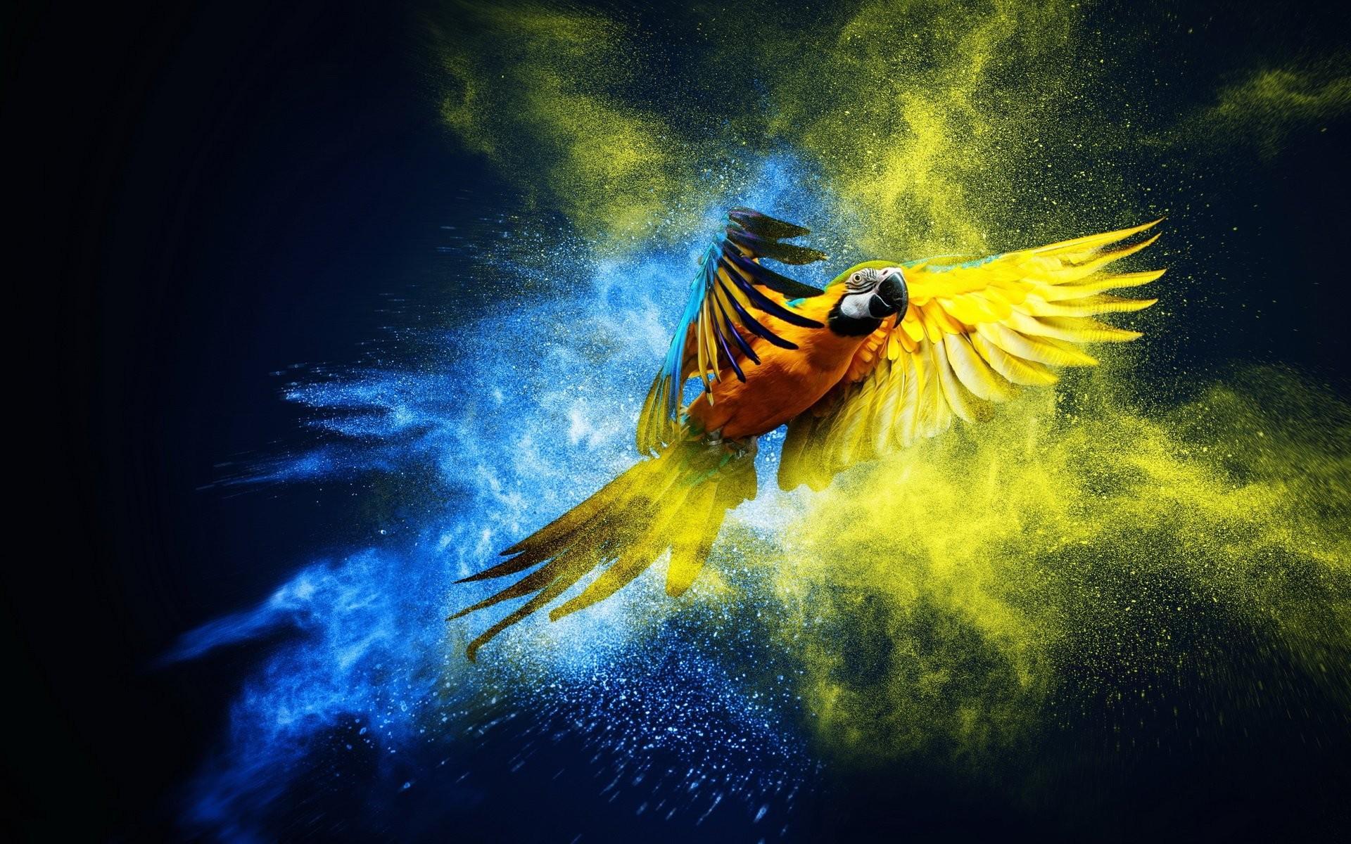 Parrot Security Os Wallpapers Wallpaper Cave
